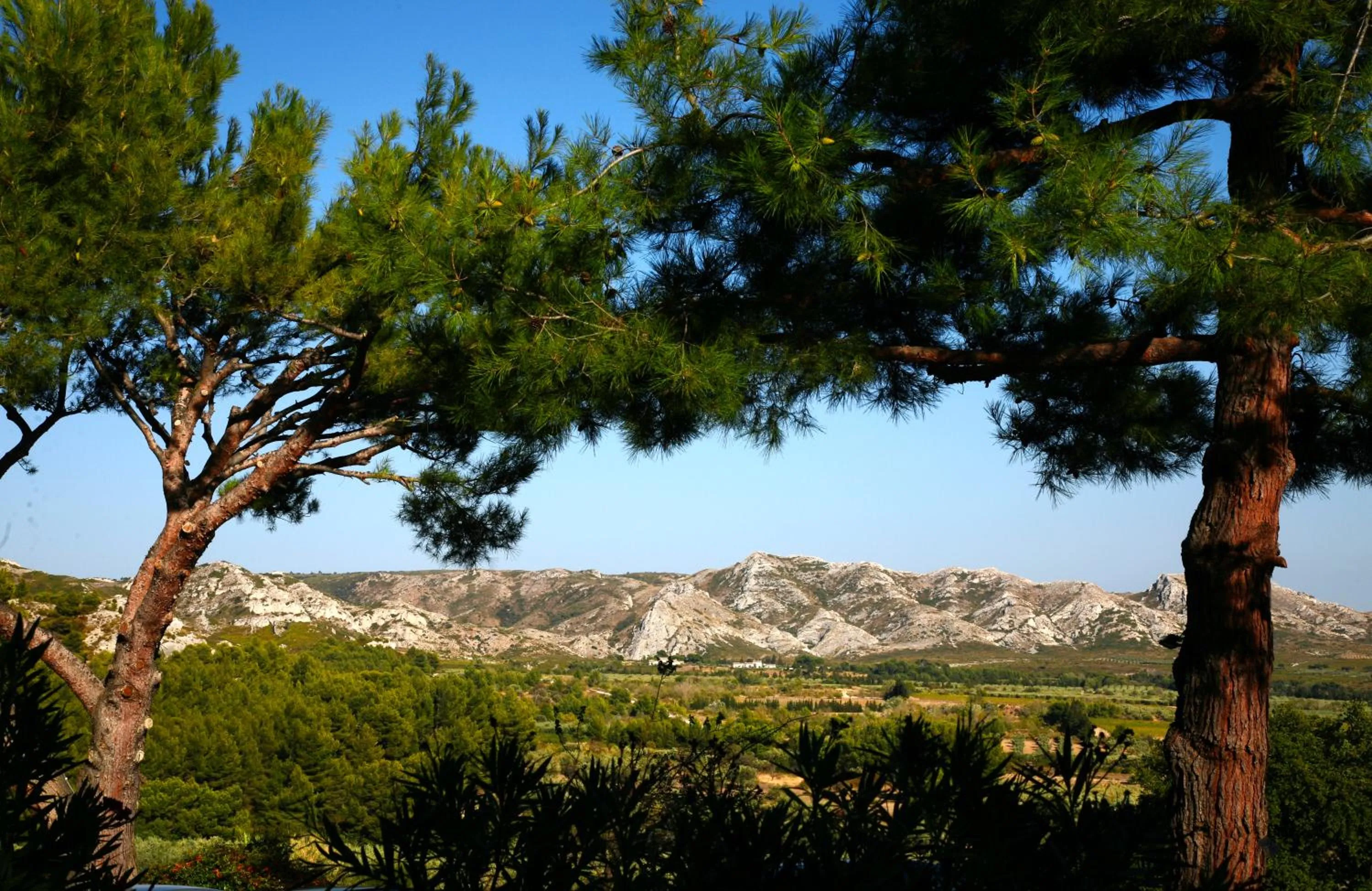 View (from property/room) in Le Mas D'aigret