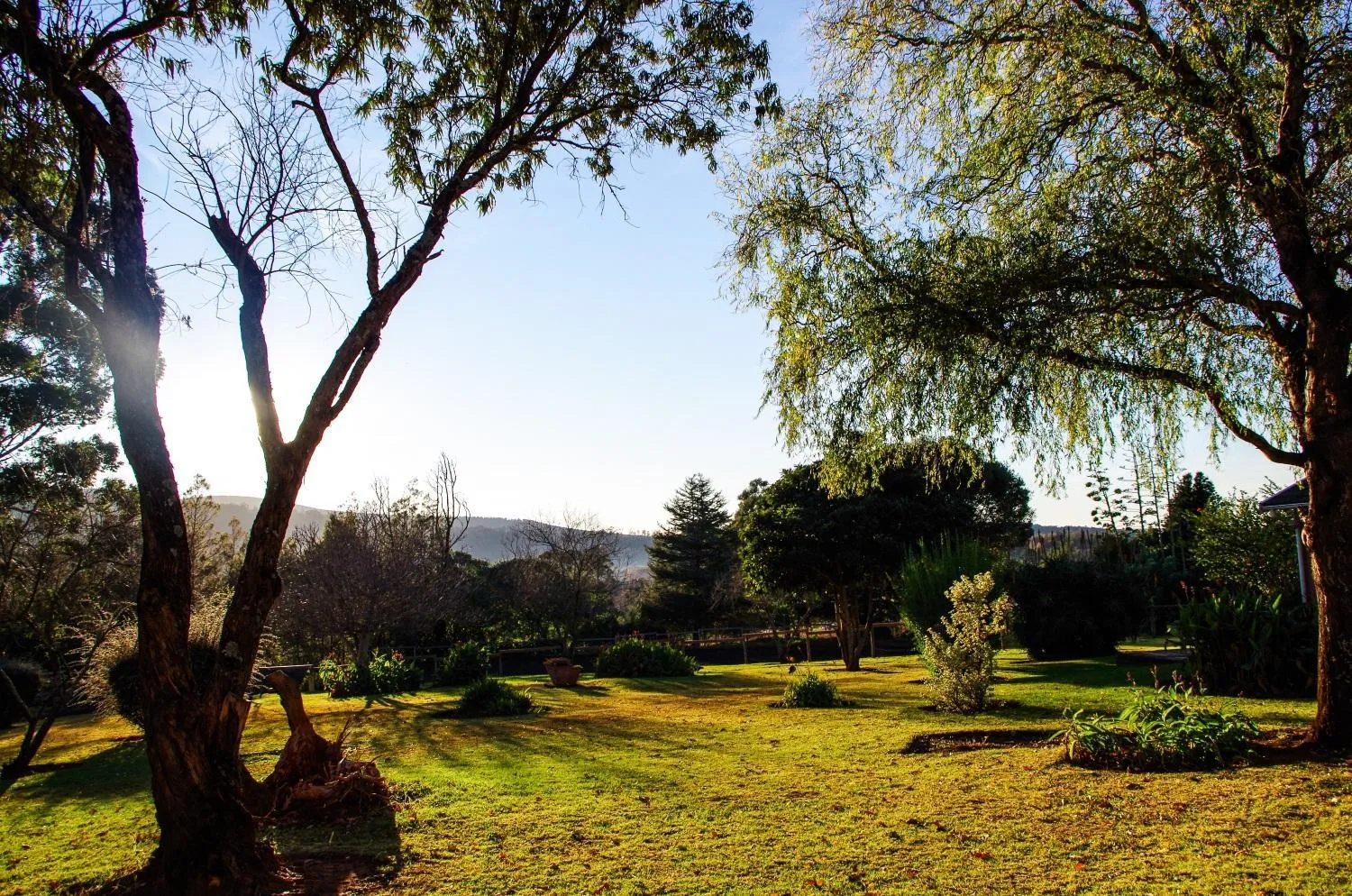 Garden in The Manderson Hotel and Conference Centre