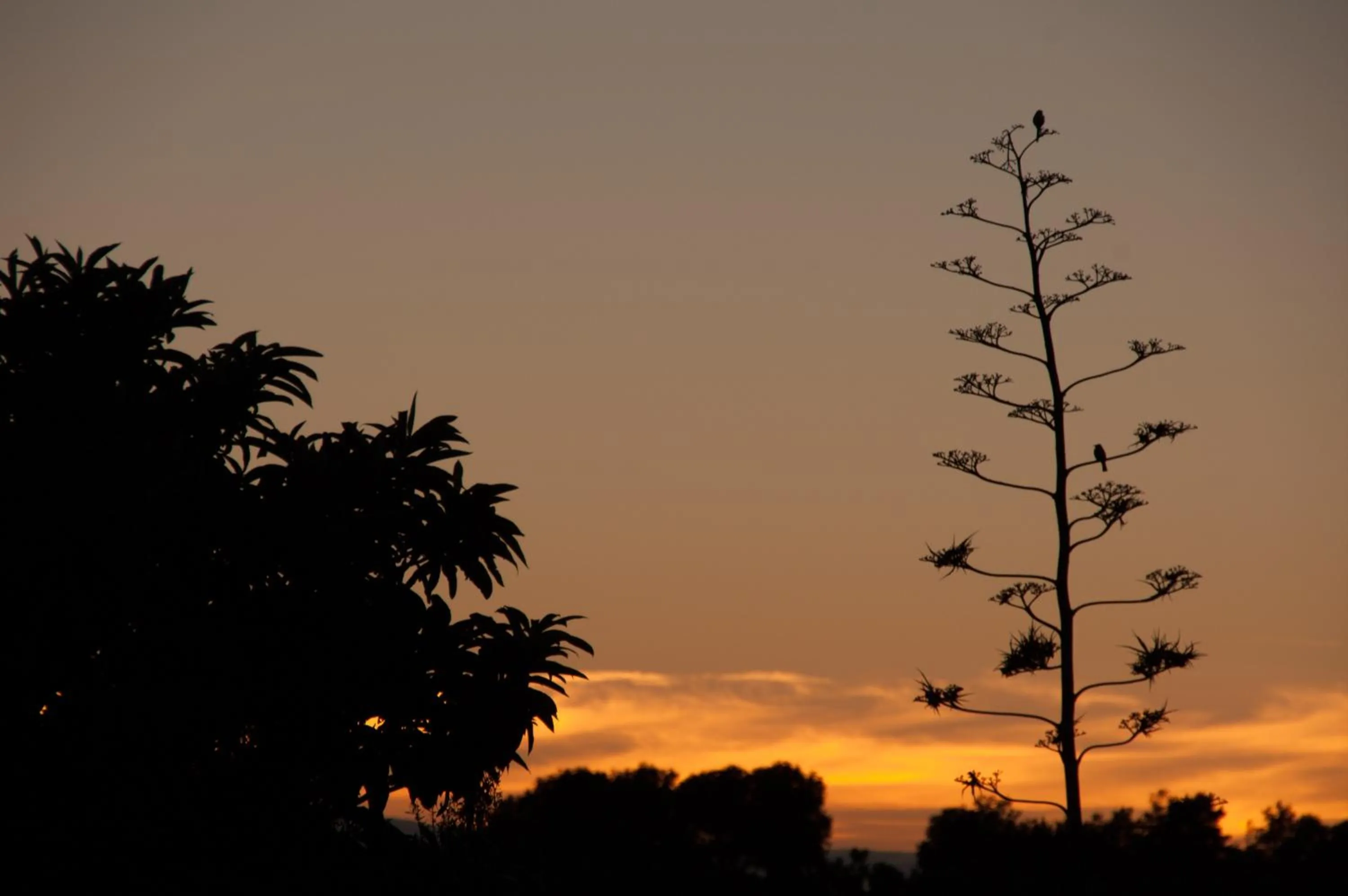 View (from property/room) in The Manderson Hotel and Conference Centre