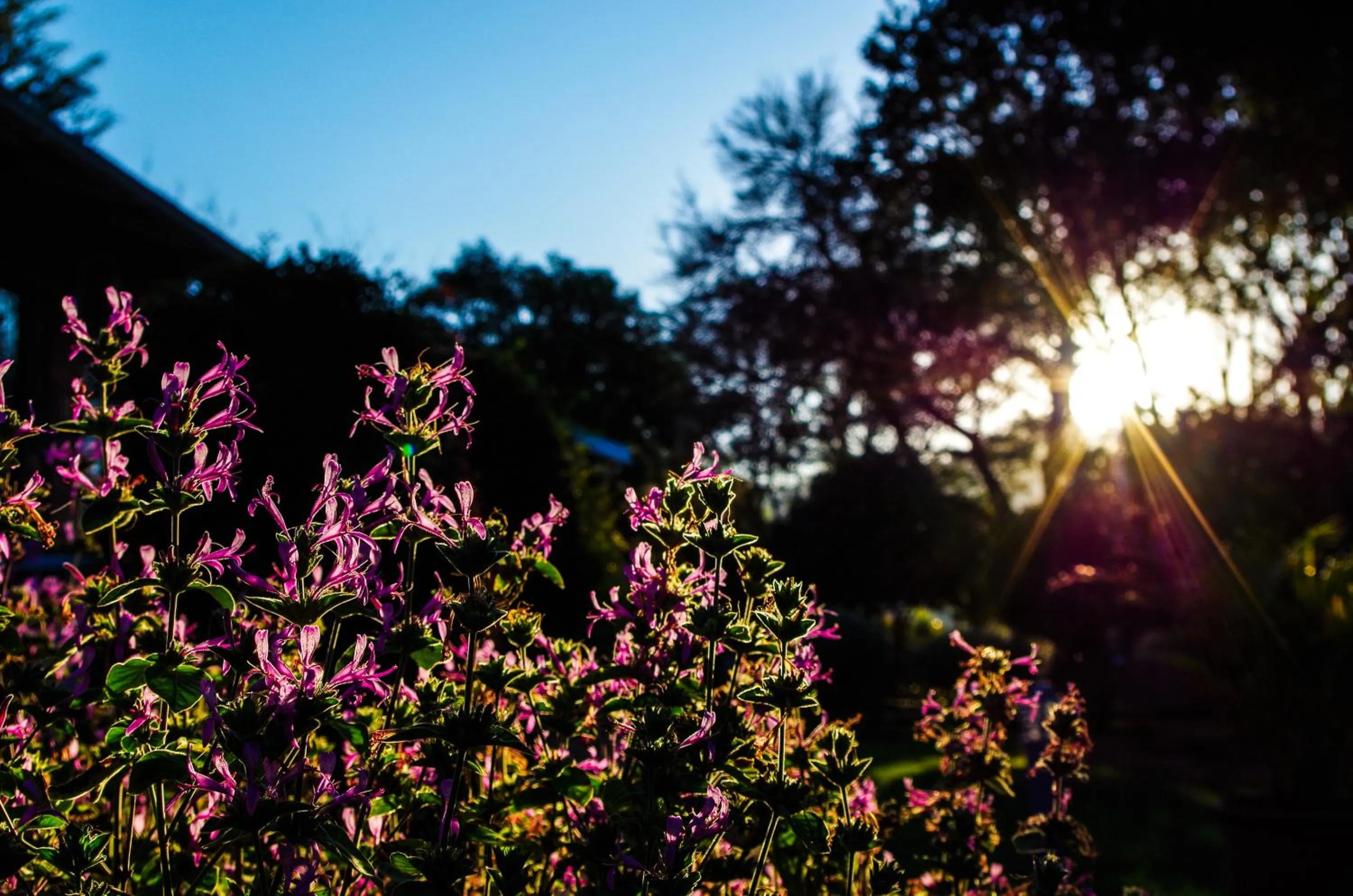 The Manderson Hotel and Conference Centre