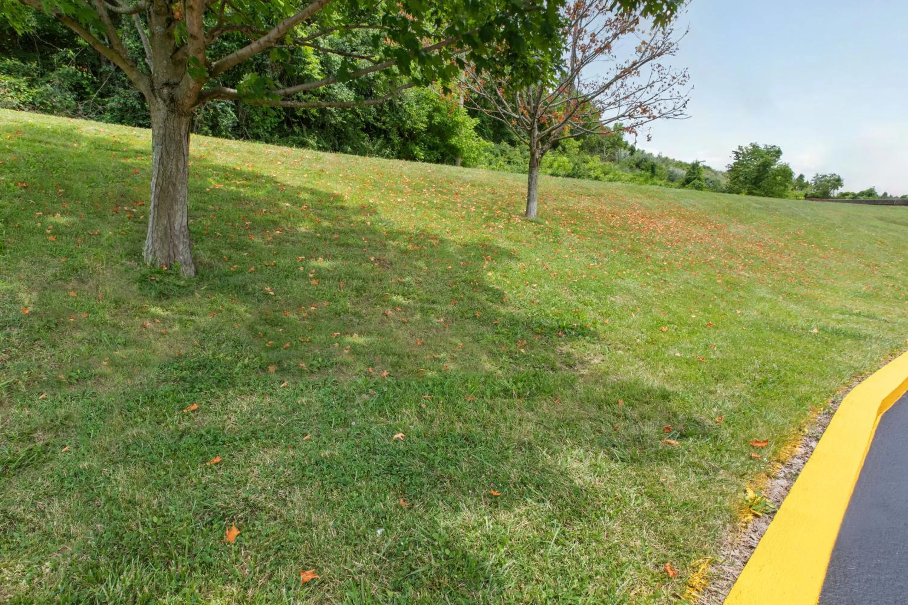 Pets in Super 8 by Wyndham Bridgeport/Clarksburg Area