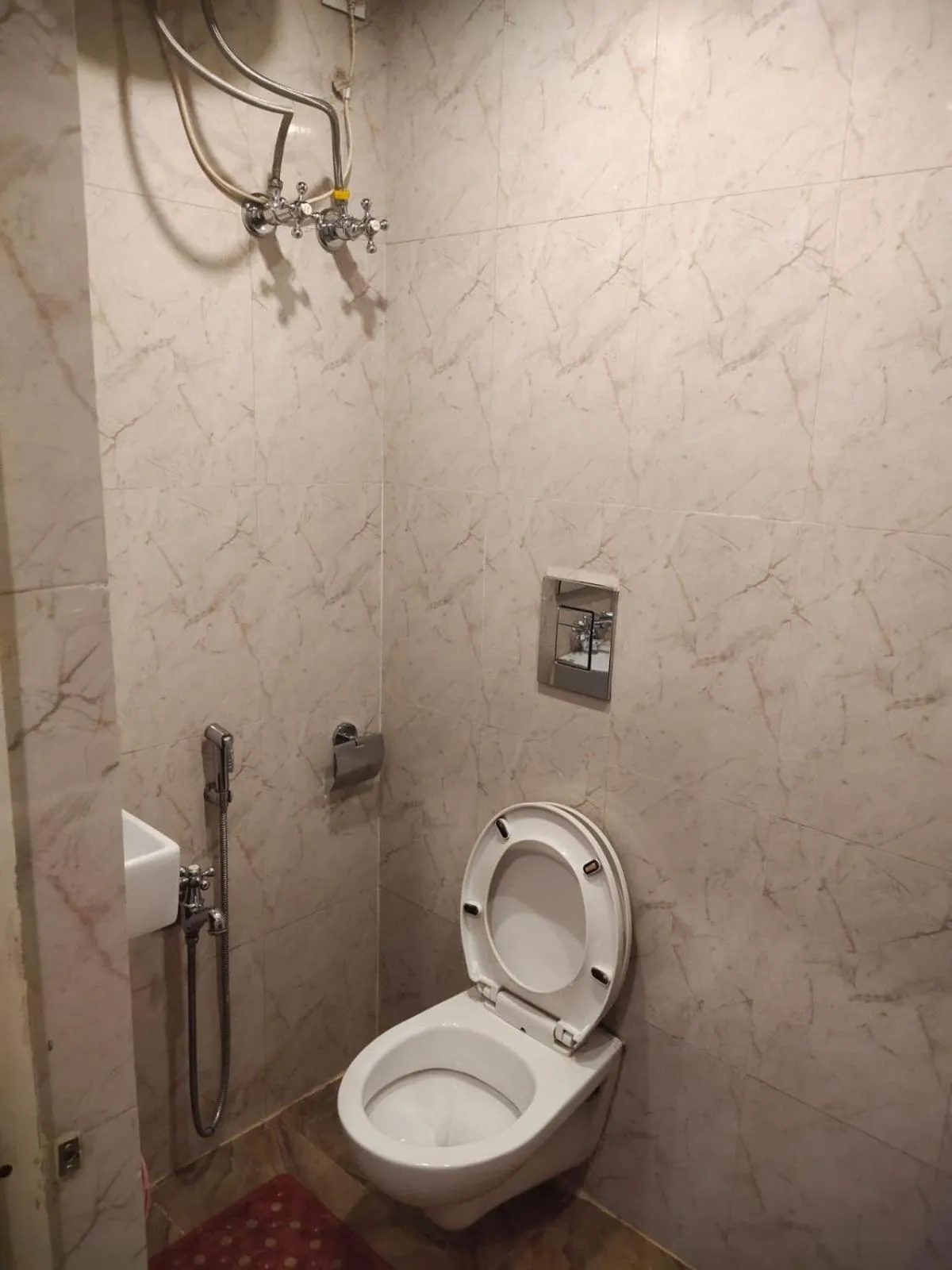 Toilet in Hotel Golden Palace