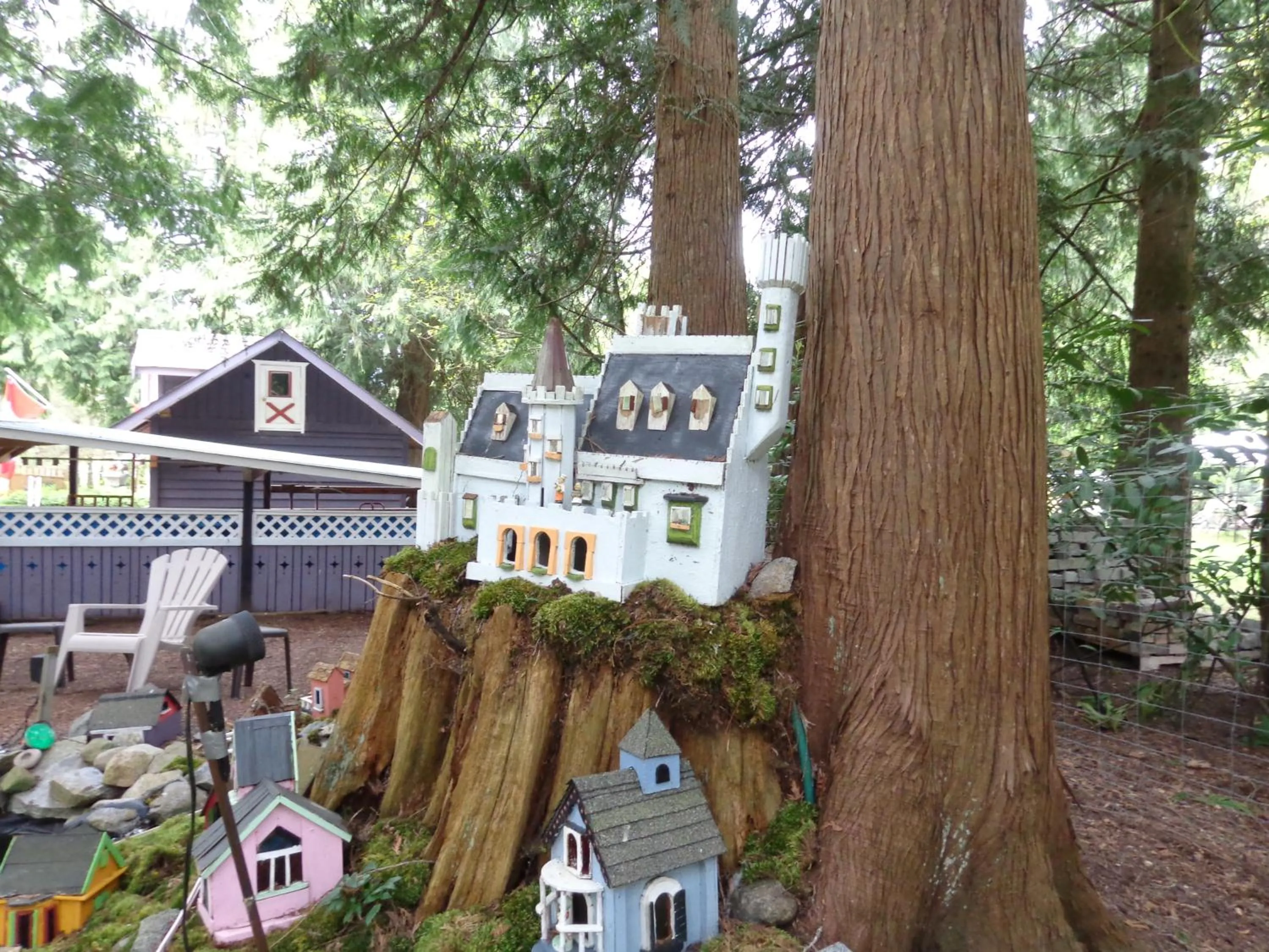 Tea Cozy Bed & Breakfast