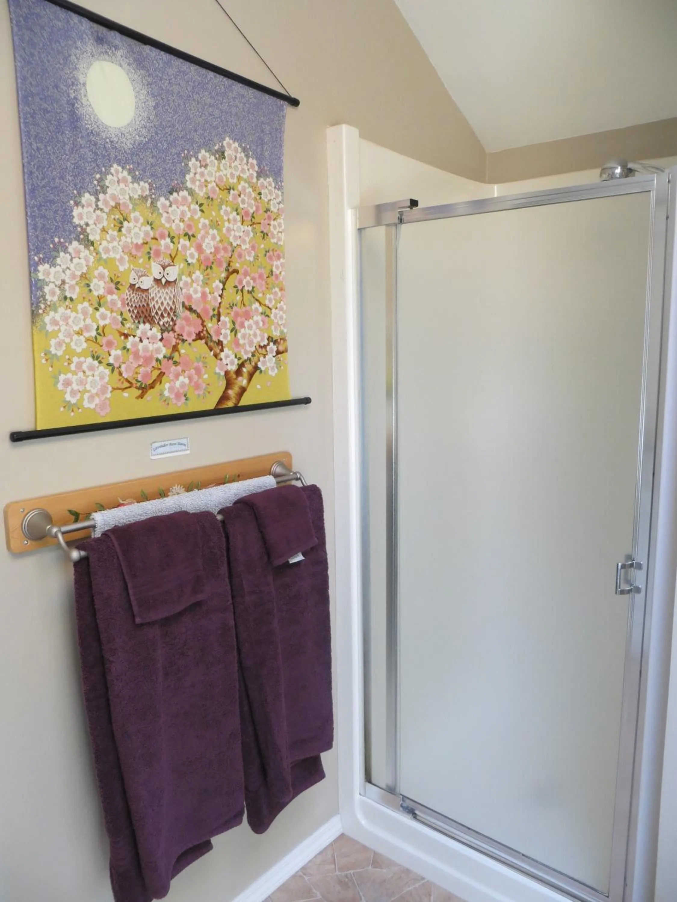 Shower in Tea Cozy Bed & Breakfast