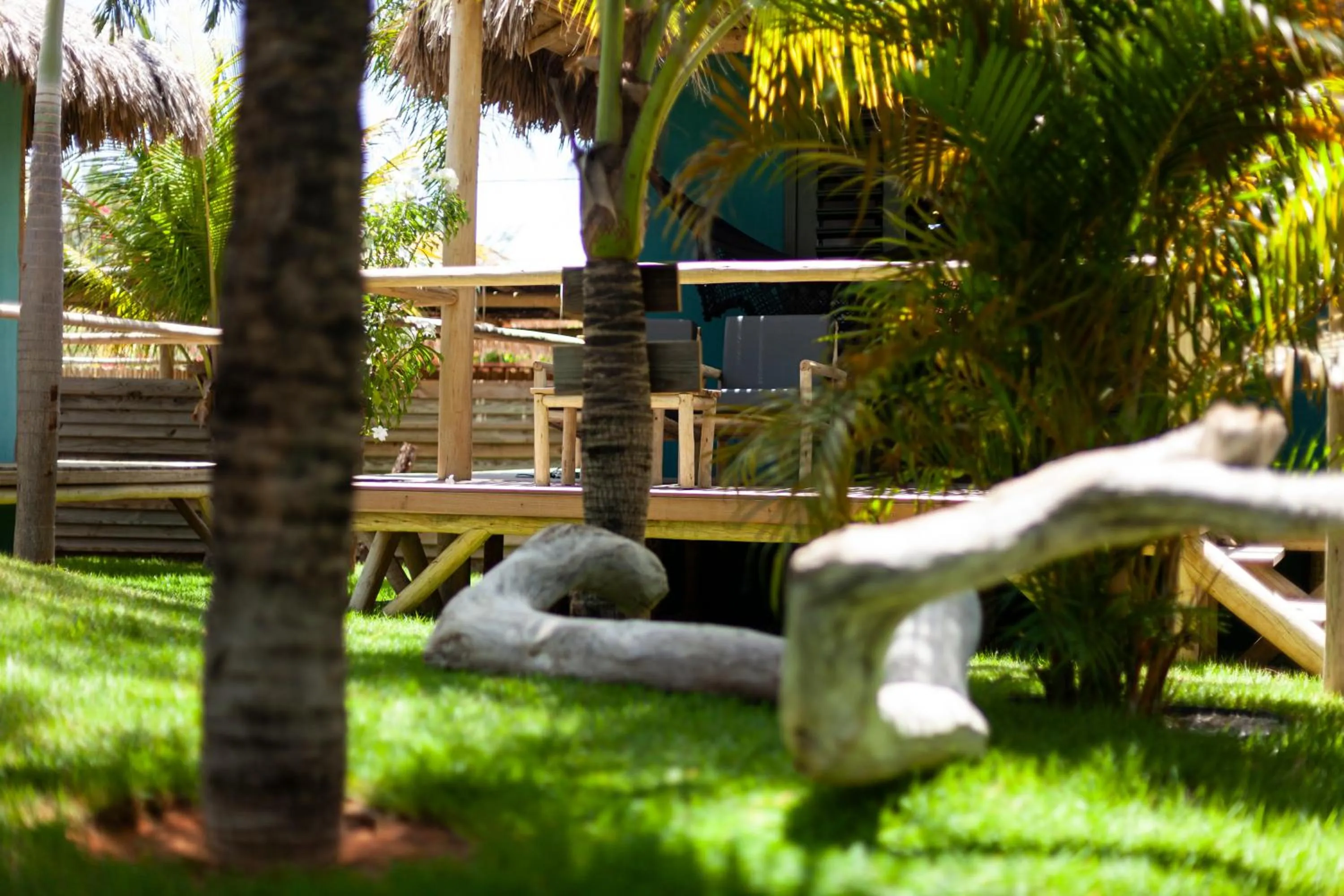 Garden in Hotel VilaVeraTheresa