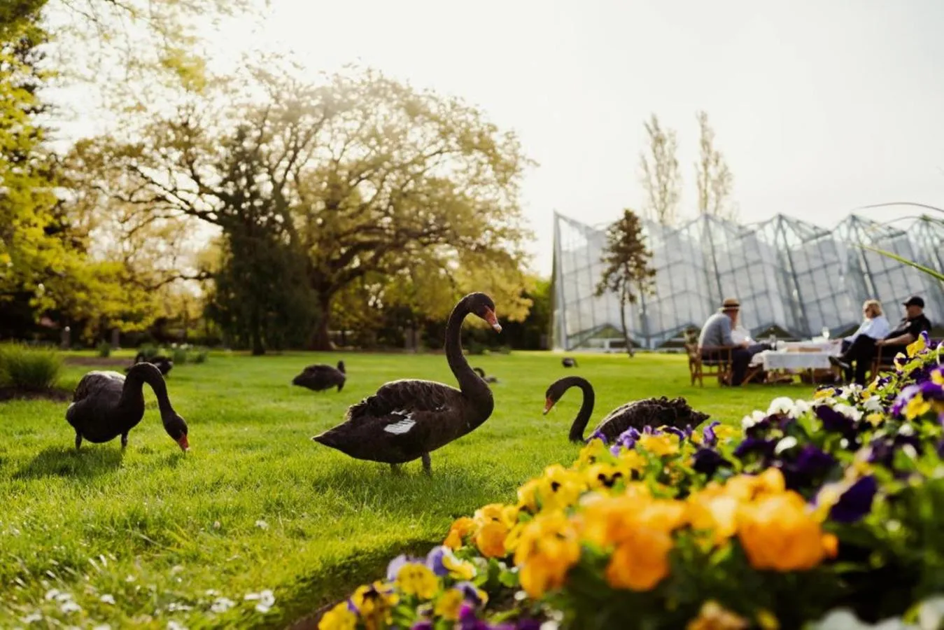 Nearby landmark in Lake Inn - Ballarat