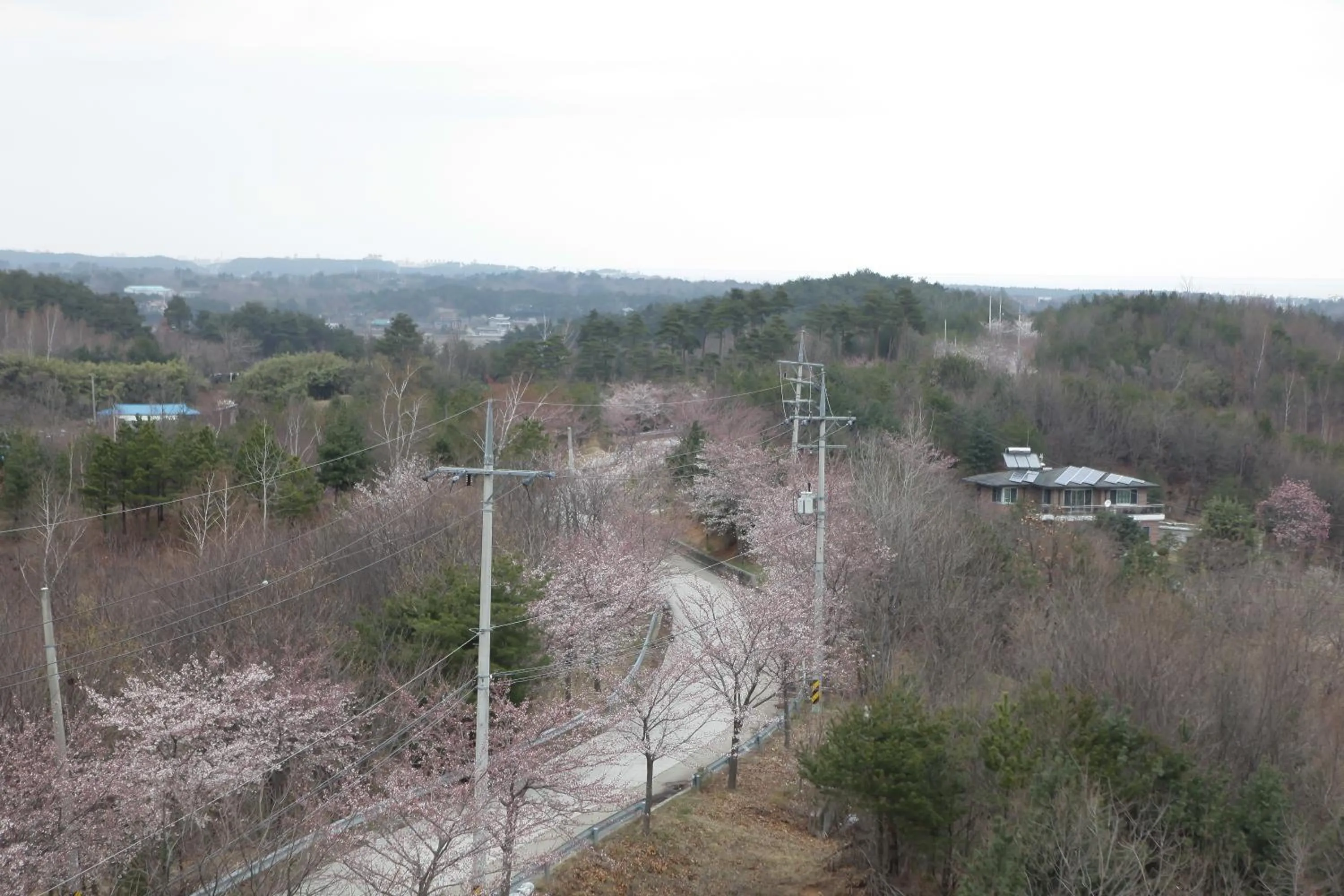 Other in Goodstay Motel Hill