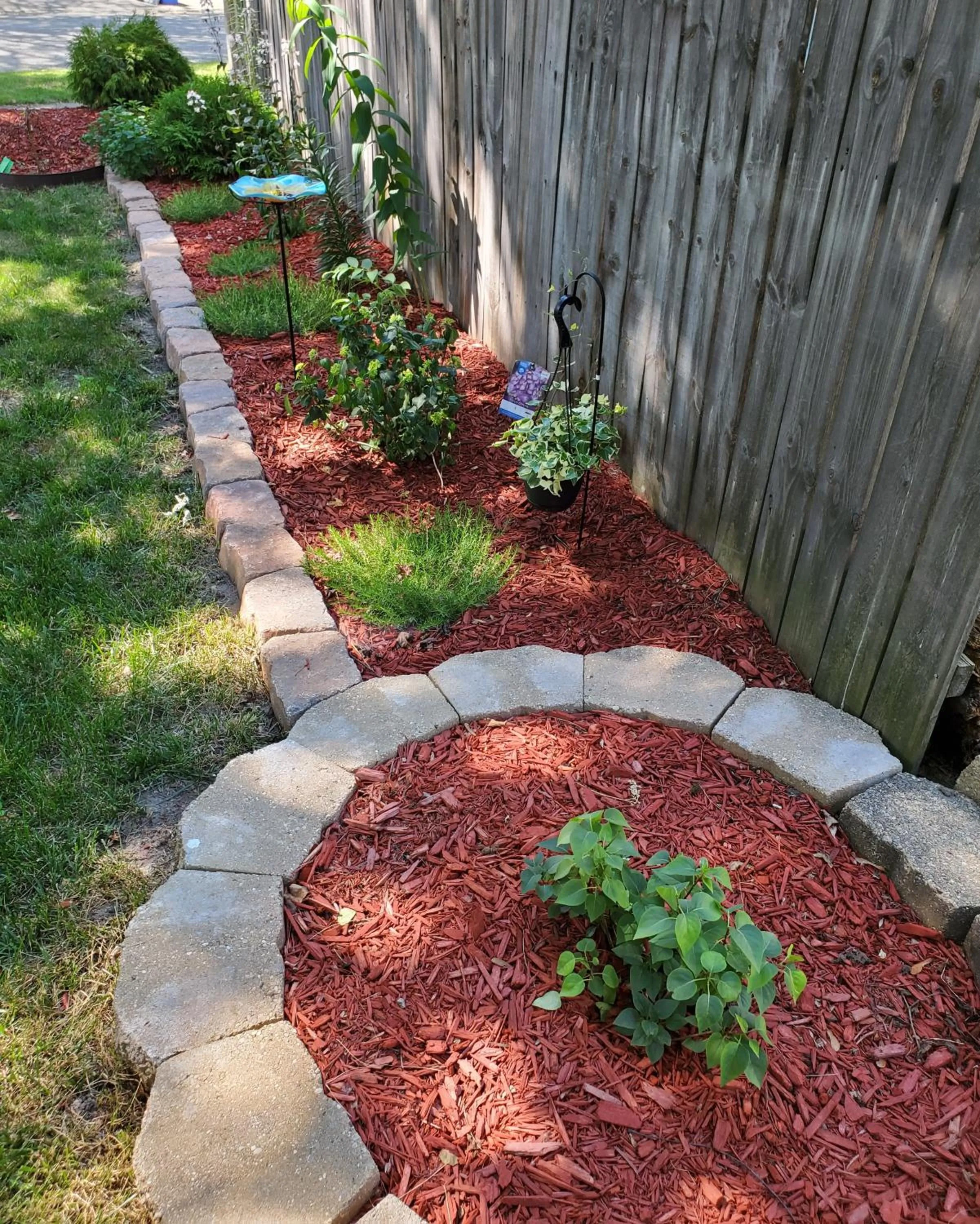 Garden in Hampton House