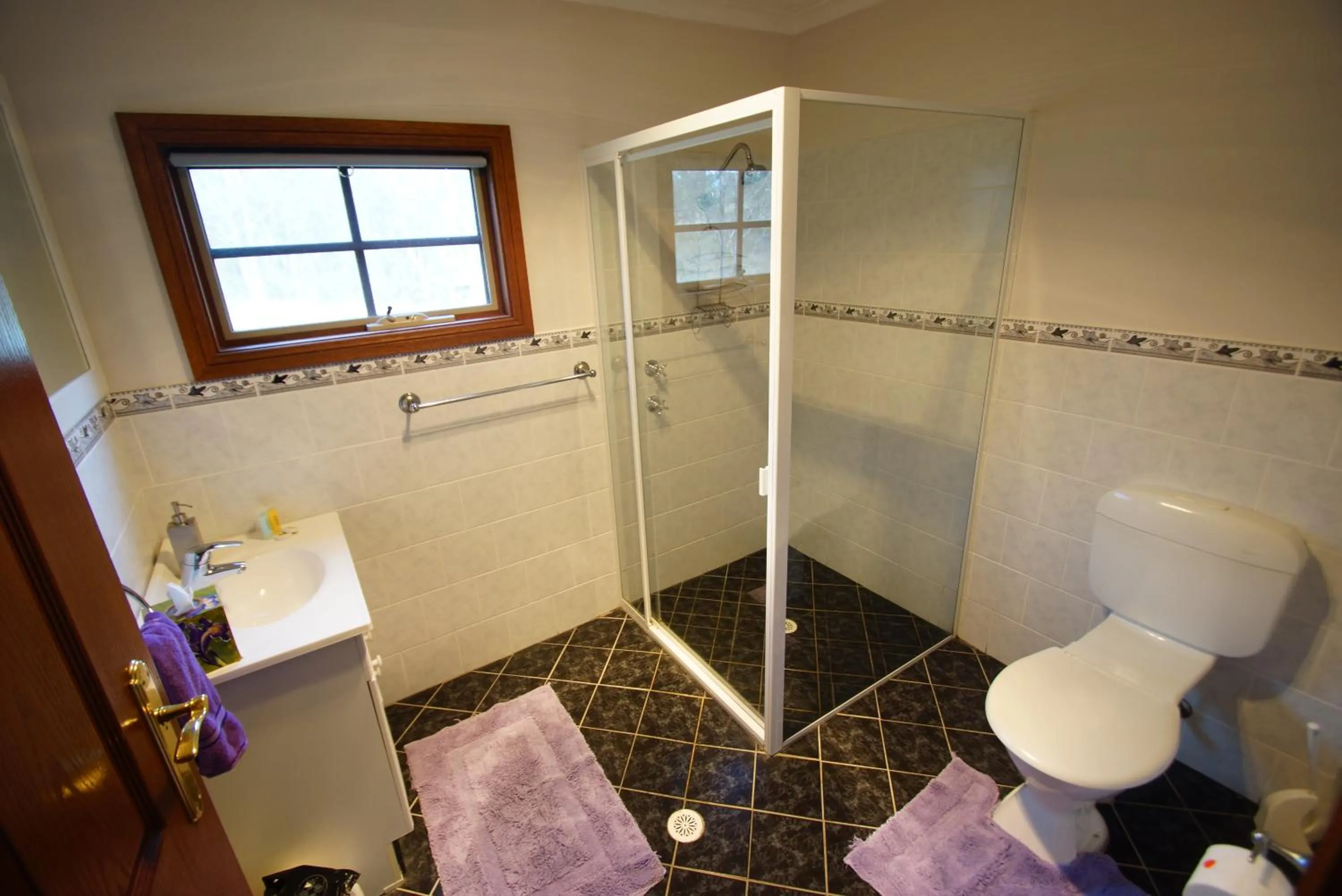 Bathroom in Manzanilla Ridge