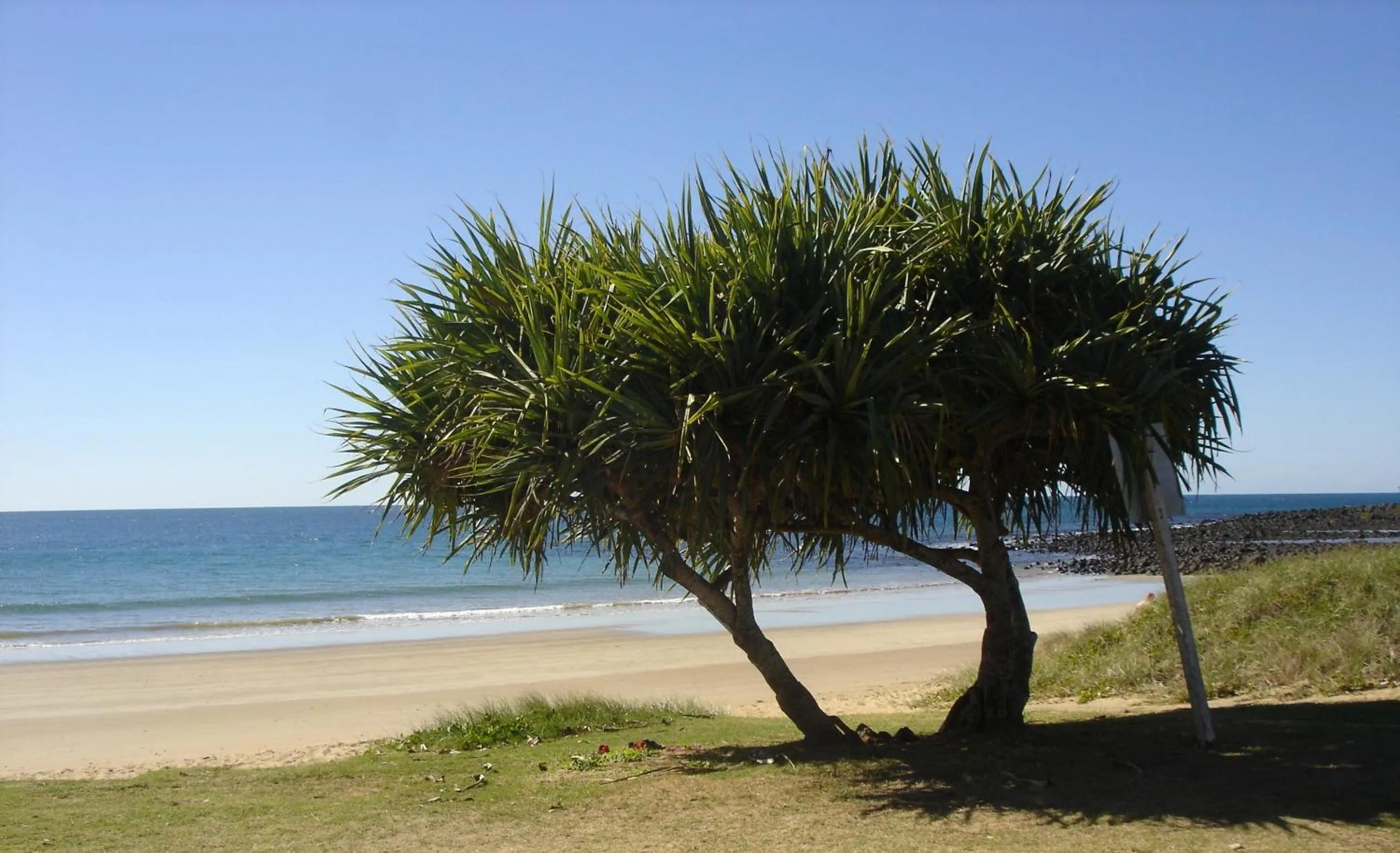 Beach in Koola Beach Apartments Bargara
