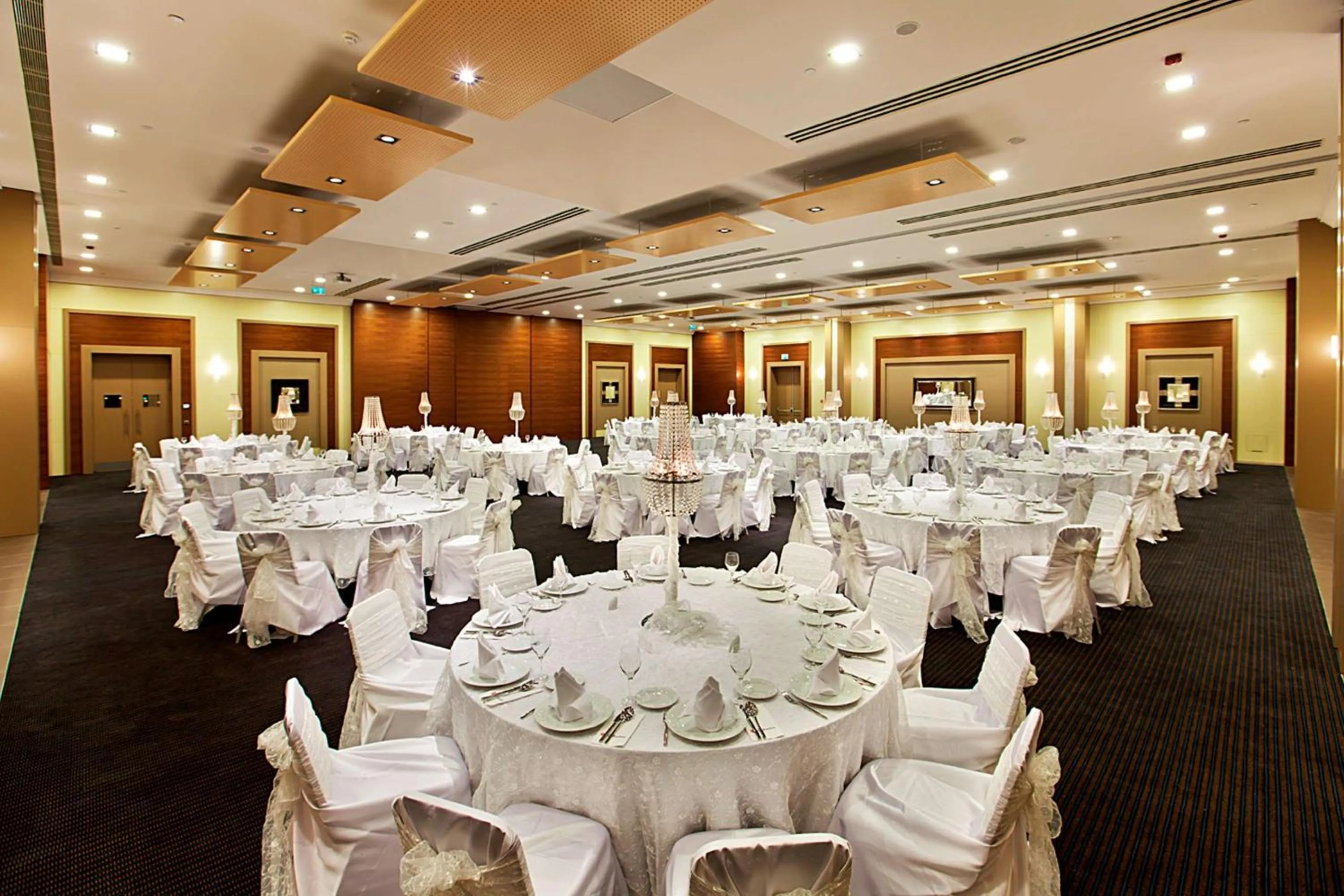 Meeting/conference room in Hilton Garden Inn Sanliurfa