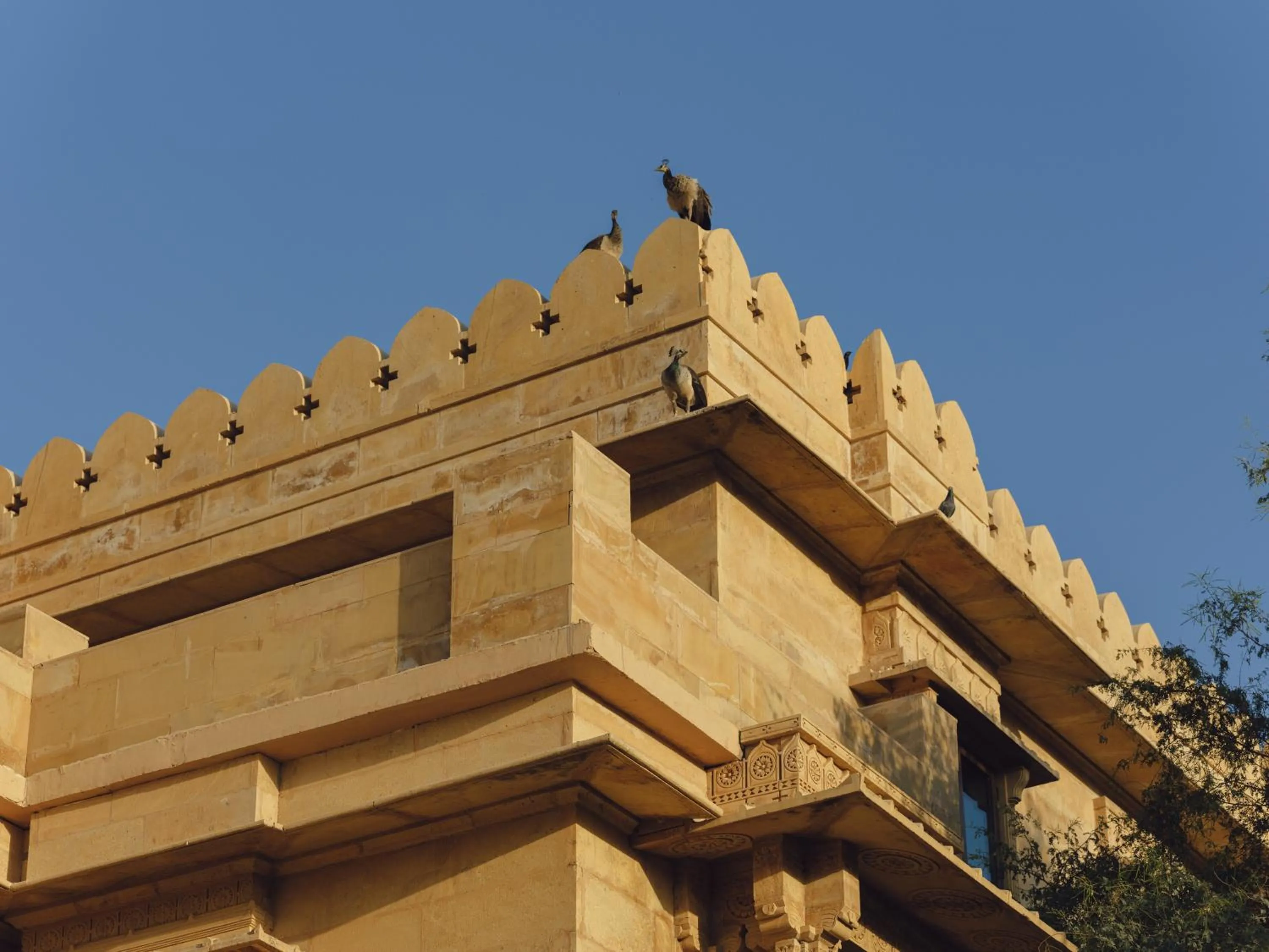 Property building in Suryagarh Jaisalmer