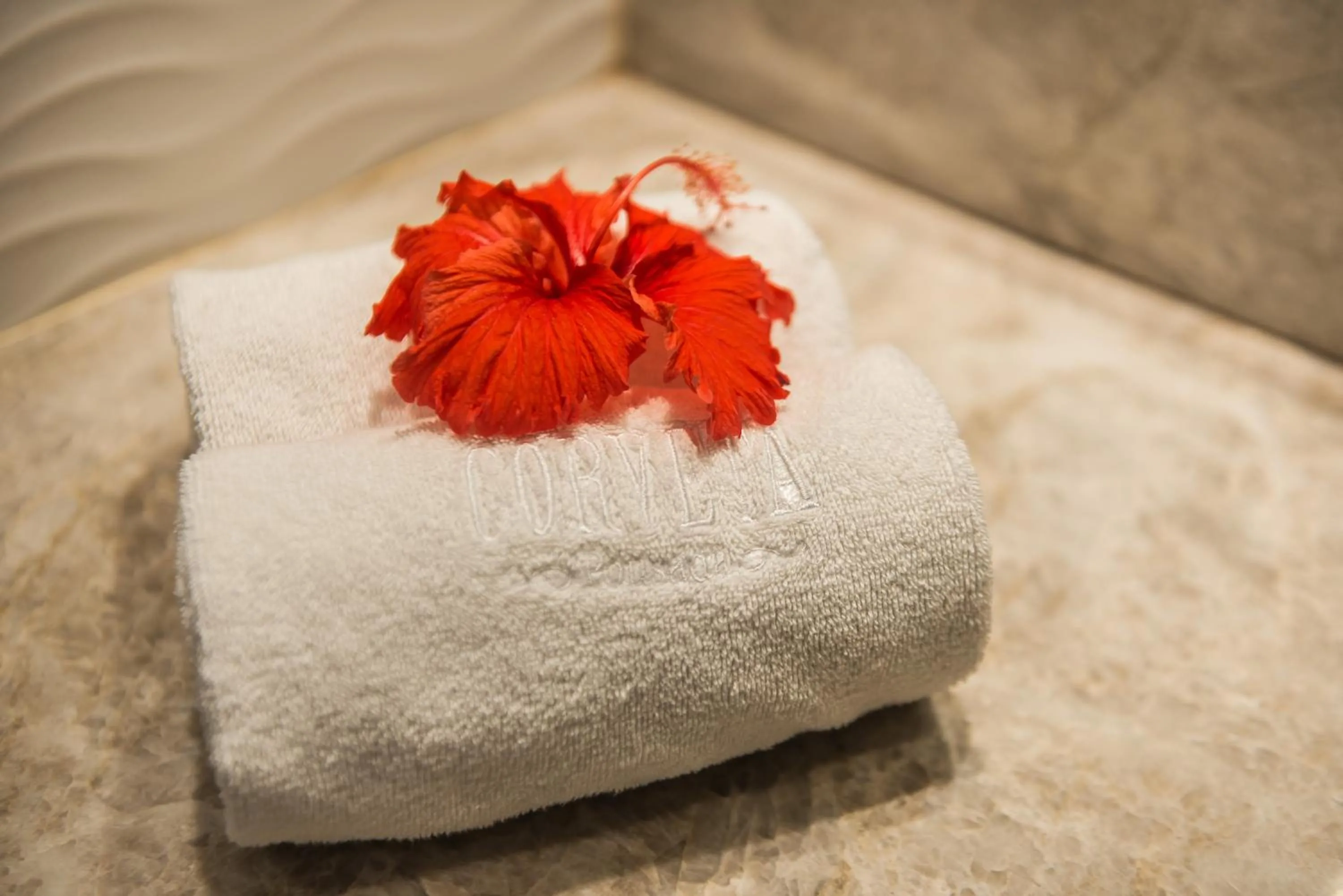 Toilet in Pousada Corveta