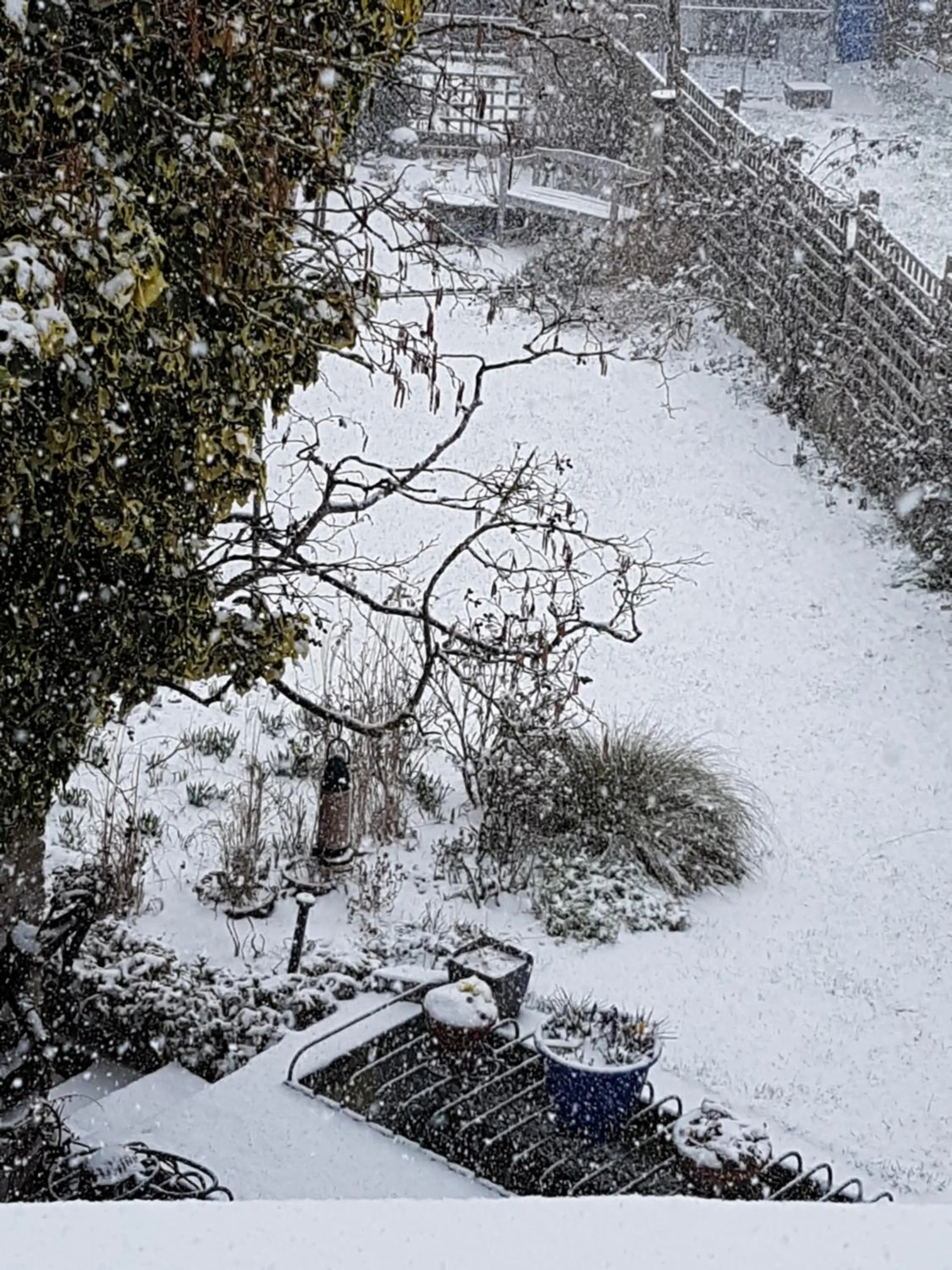 Winter in 118 Shepherds Lane