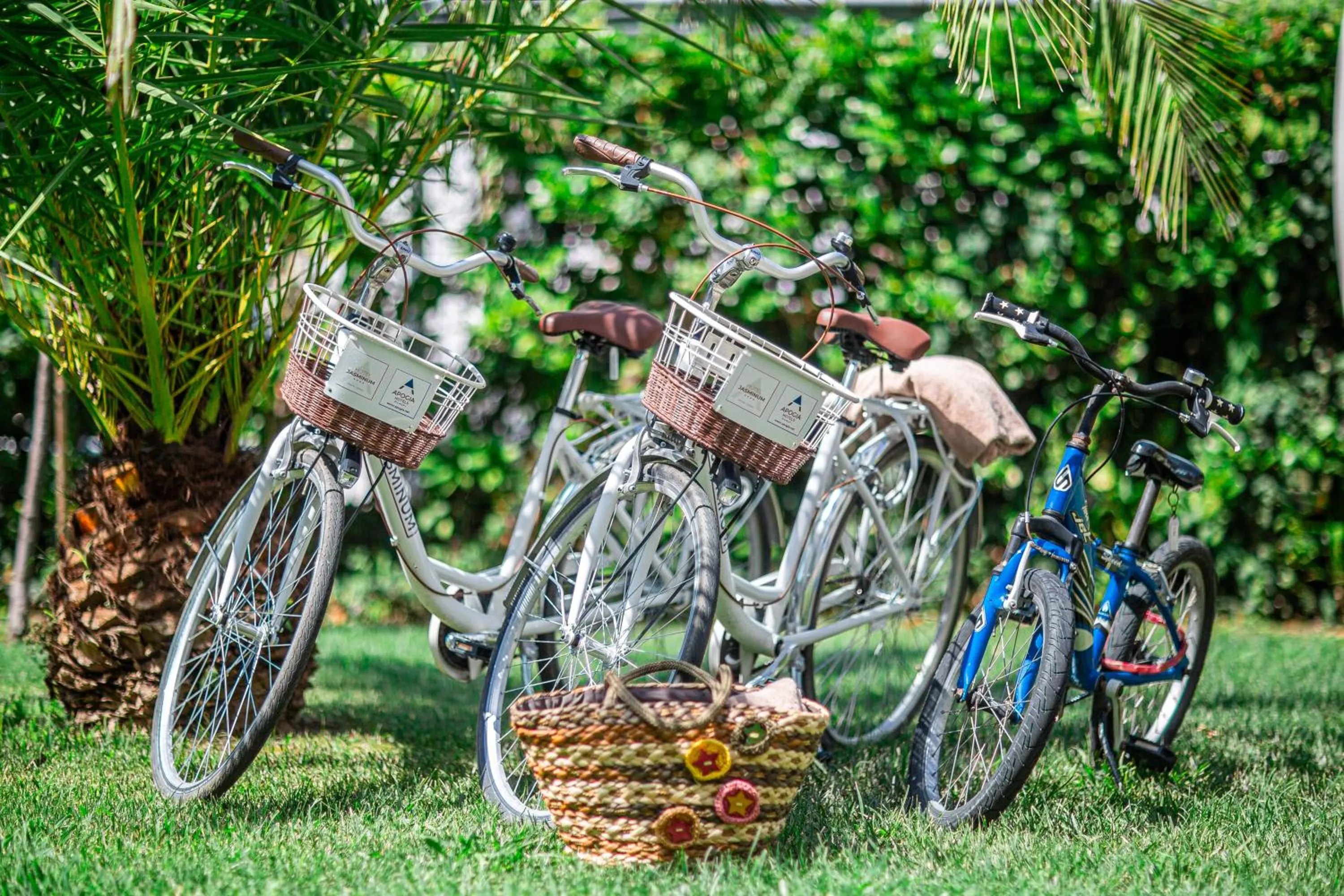 Swimming pool in Hotel Jasminum