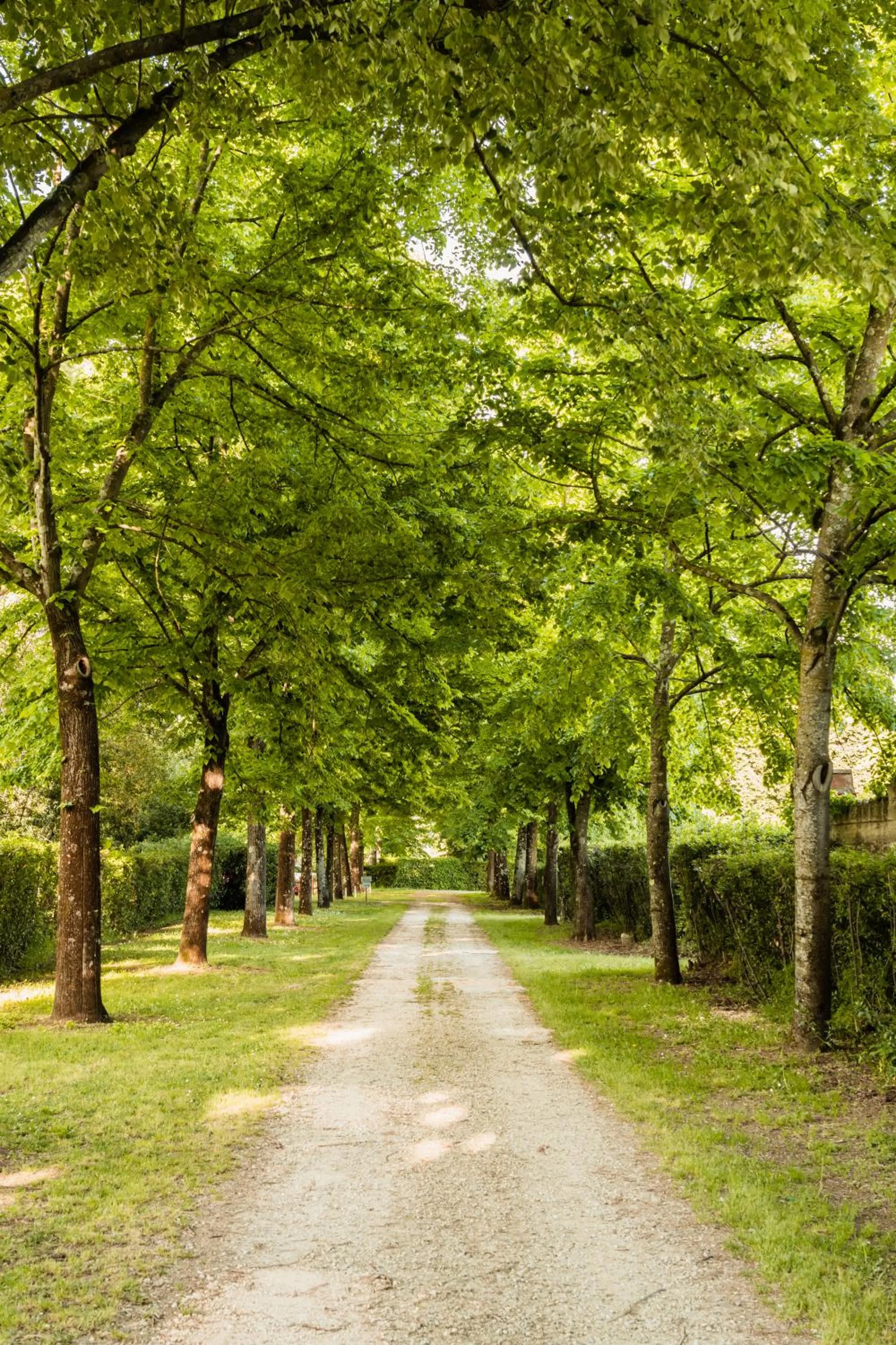 Swimming pool in Rovezzano B&B