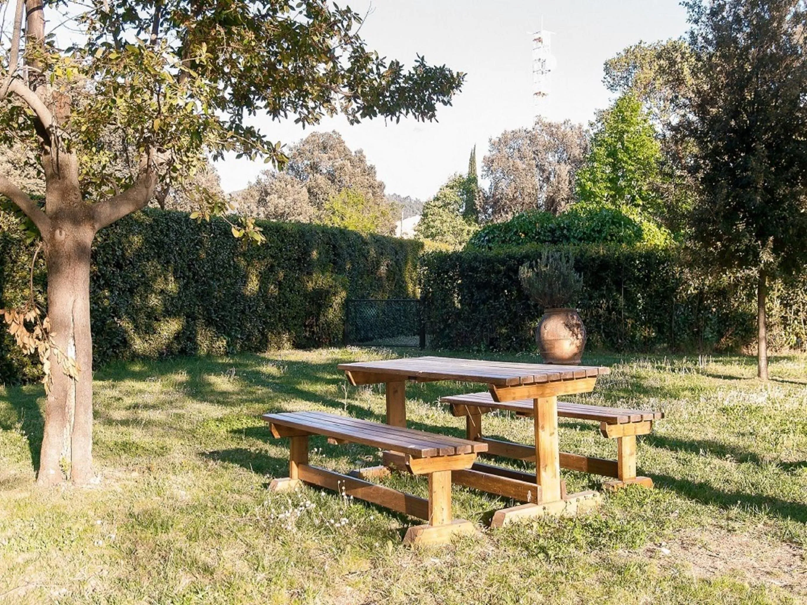 BBQ facilities in Rovezzano B&B