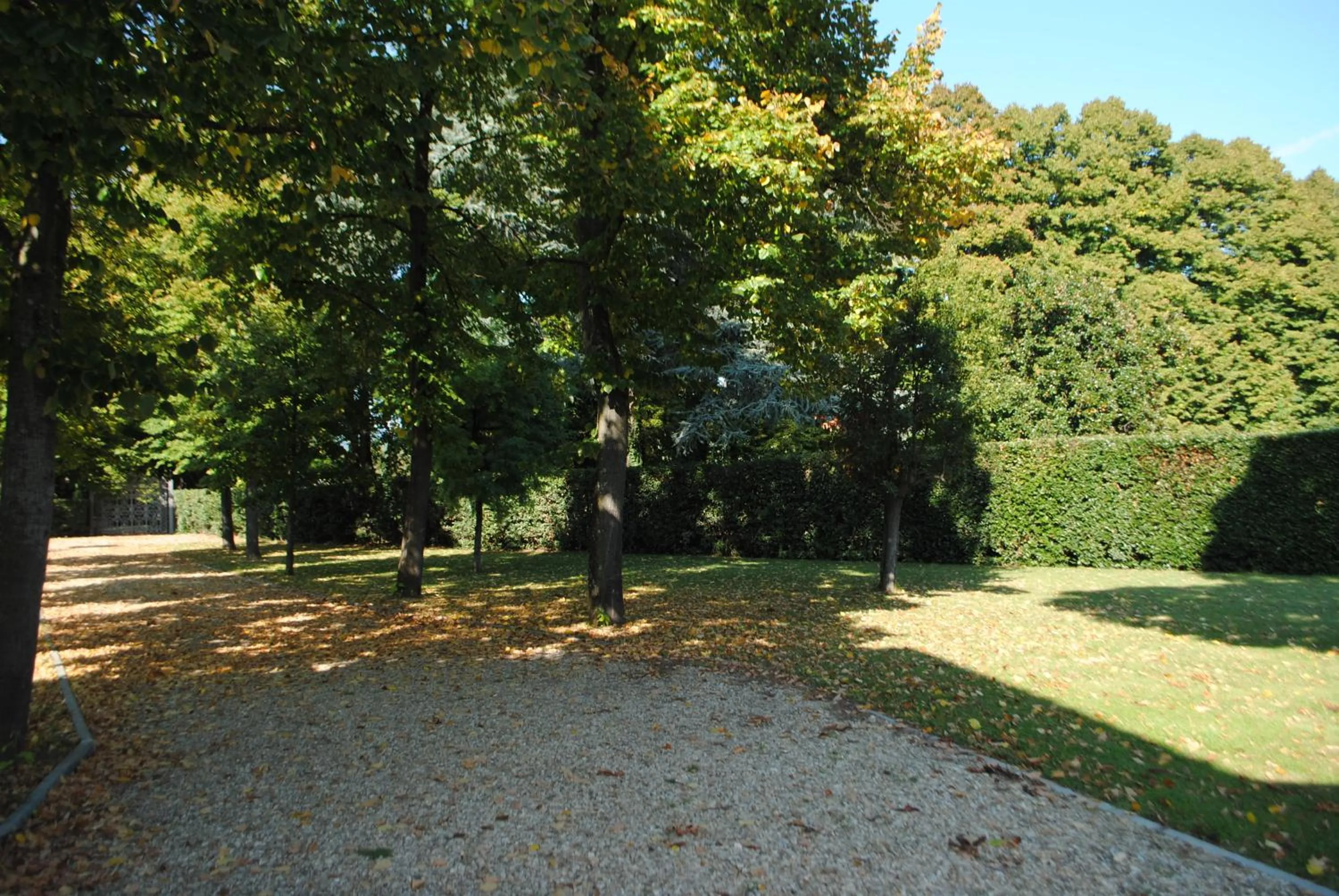 Garden in Rovezzano B&B