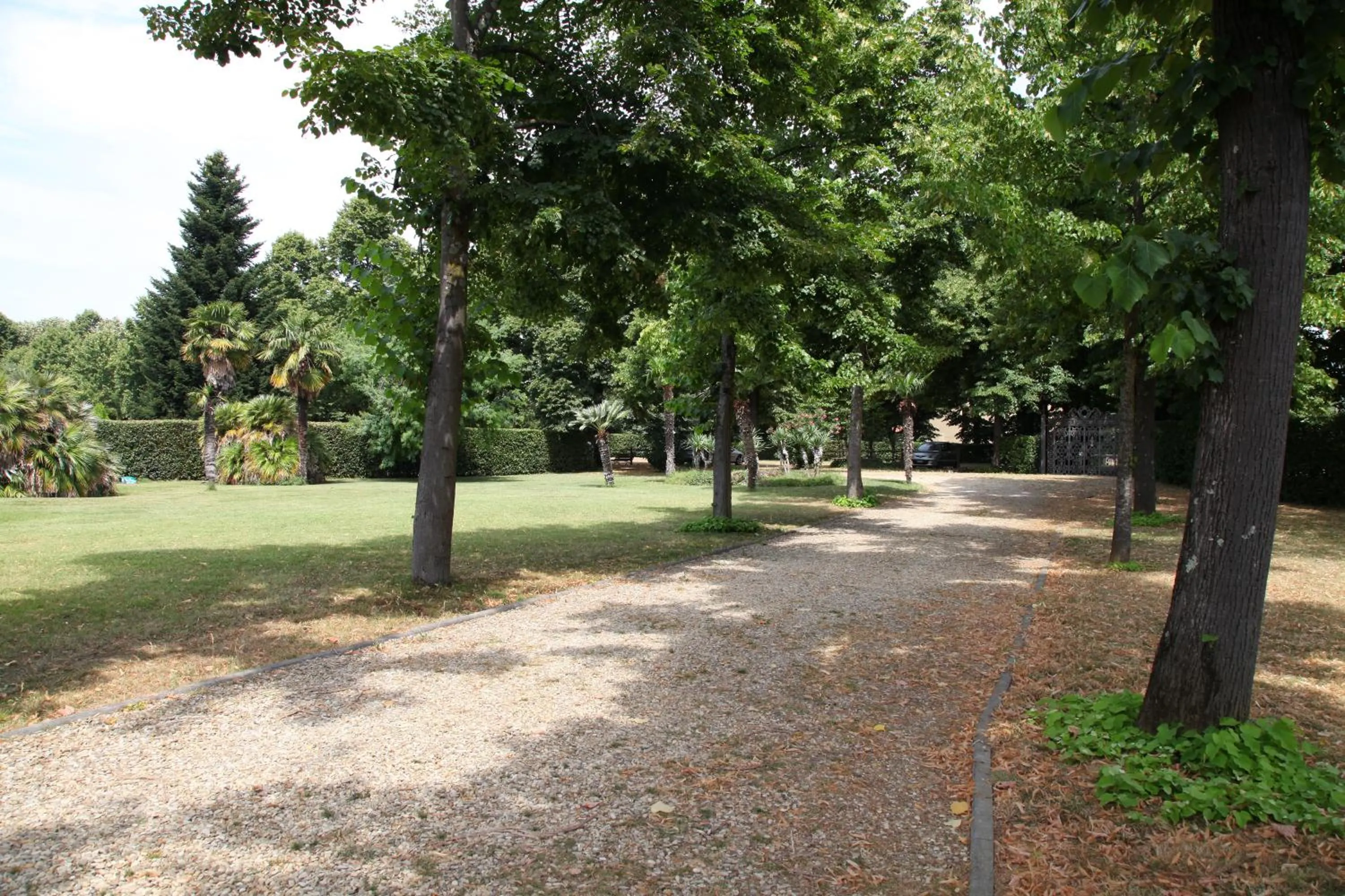 Garden in Rovezzano B&B