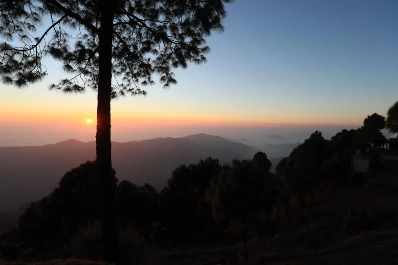 Property building in 7 Pines Kasauli