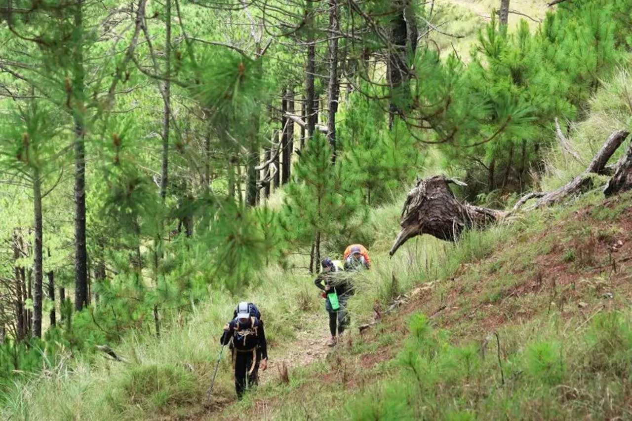 Activities in 7 Pines Kasauli