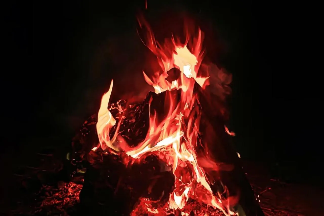 Property building in 7 Pines Kasauli