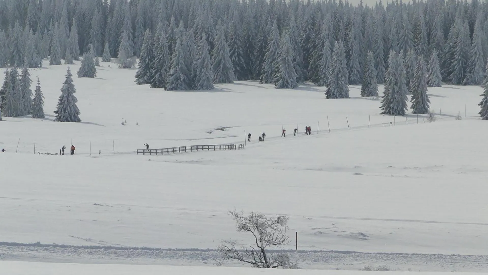 Skiing in Hotel Bozi Dar - Excalibur