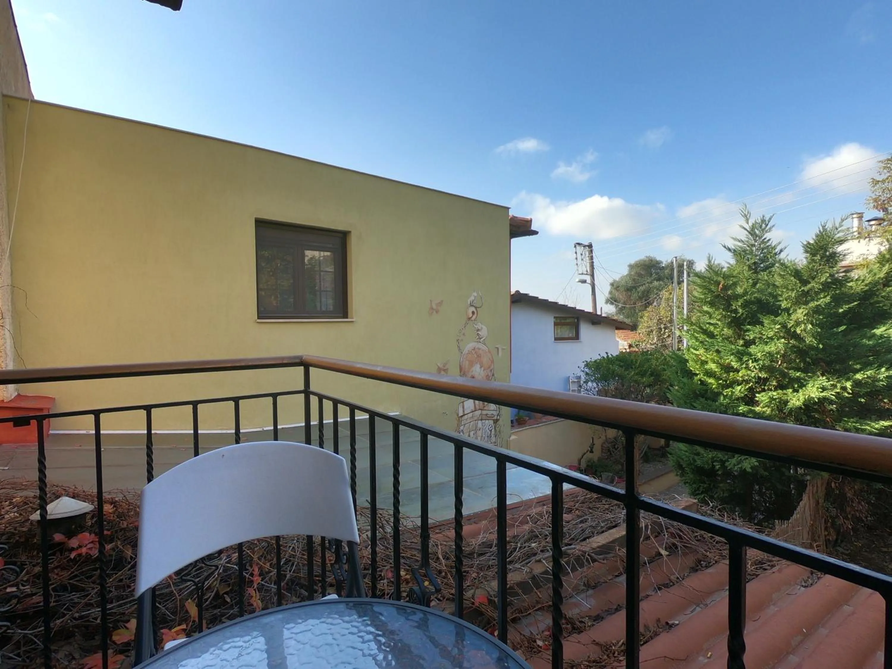 Spring in Studios Arabas