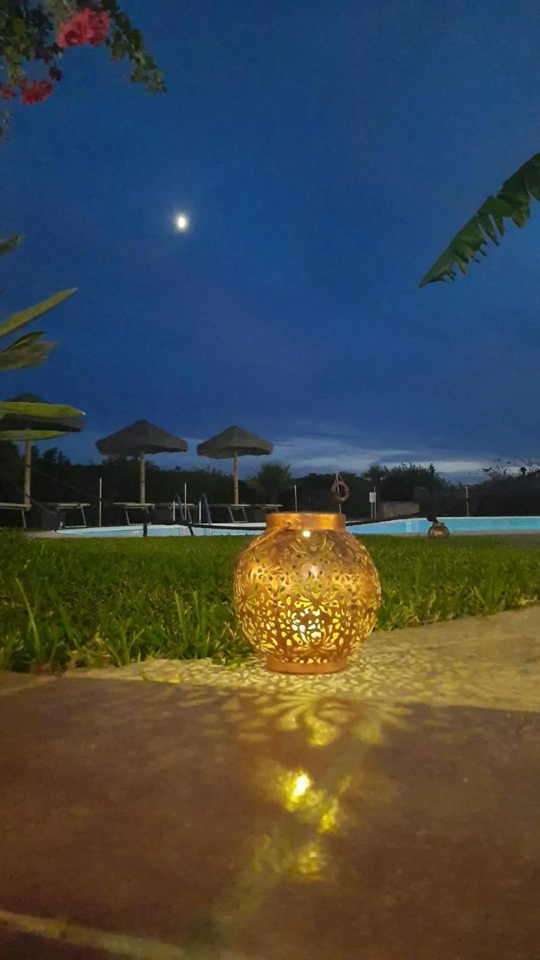 Night in Residence Le Bouganville