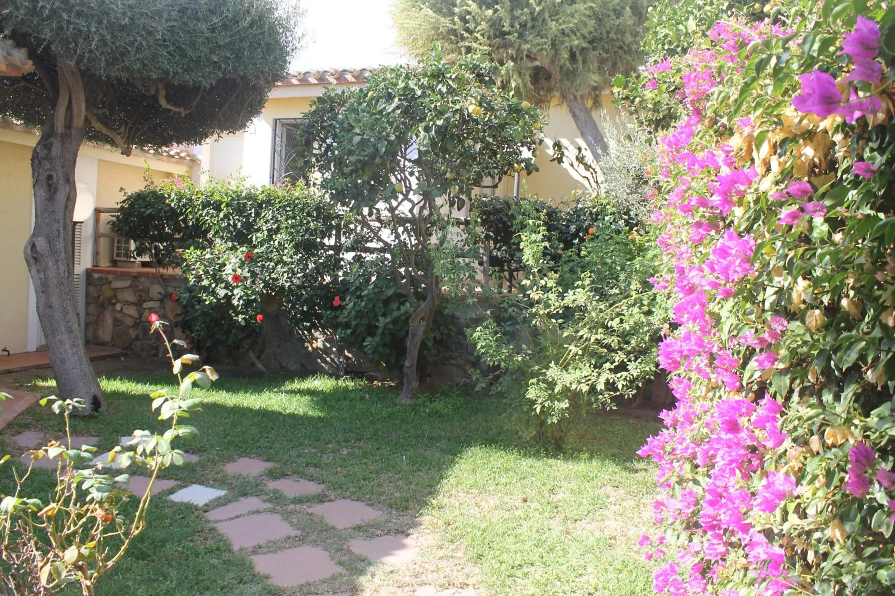 Garden view in Residence Le Bouganville