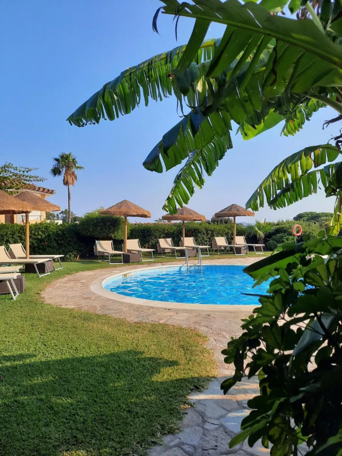Pool view in Residence Le Bouganville