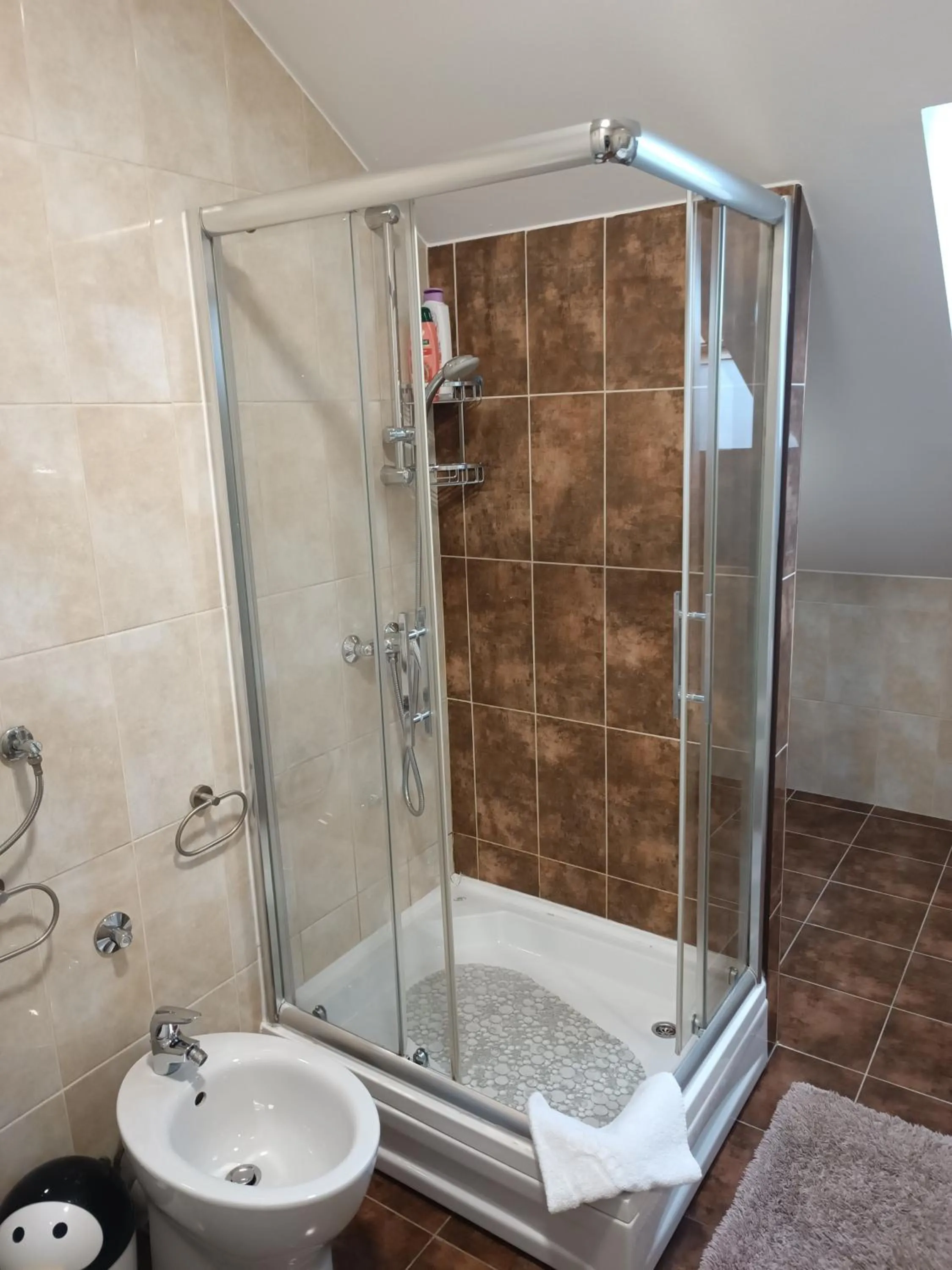 Shower in Apartmani Janjic