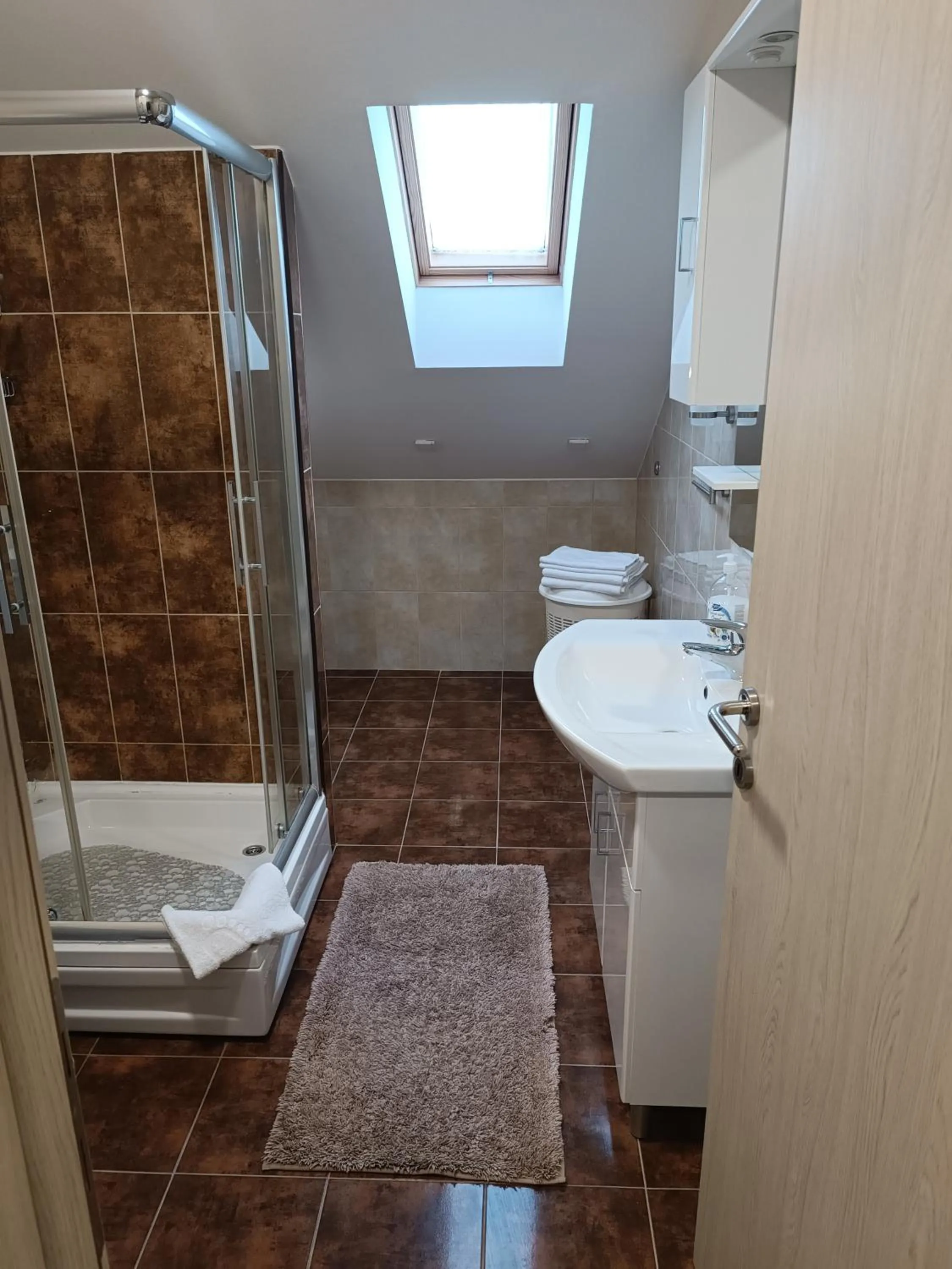 Shower in Apartmani Janjic