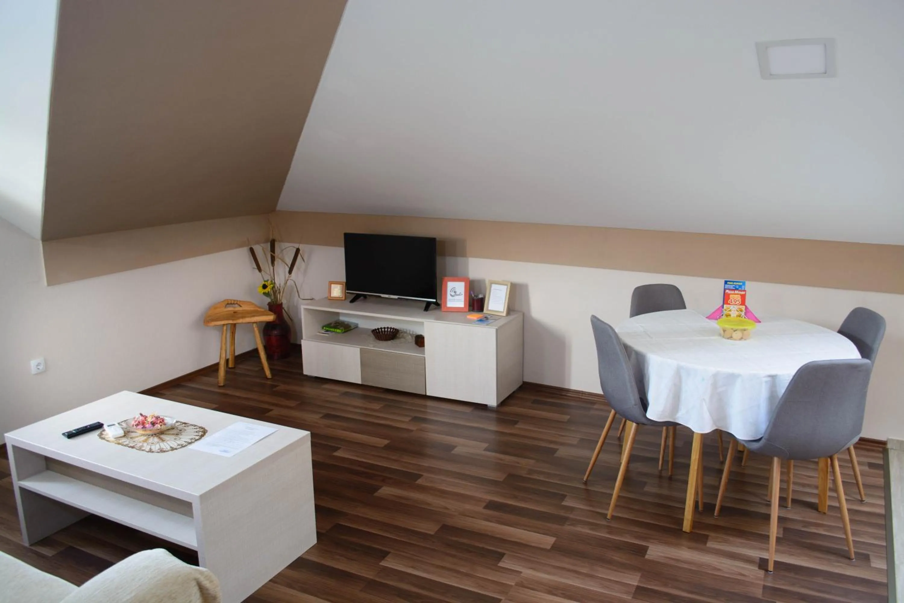 TV and multimedia in Apartmani Janjic