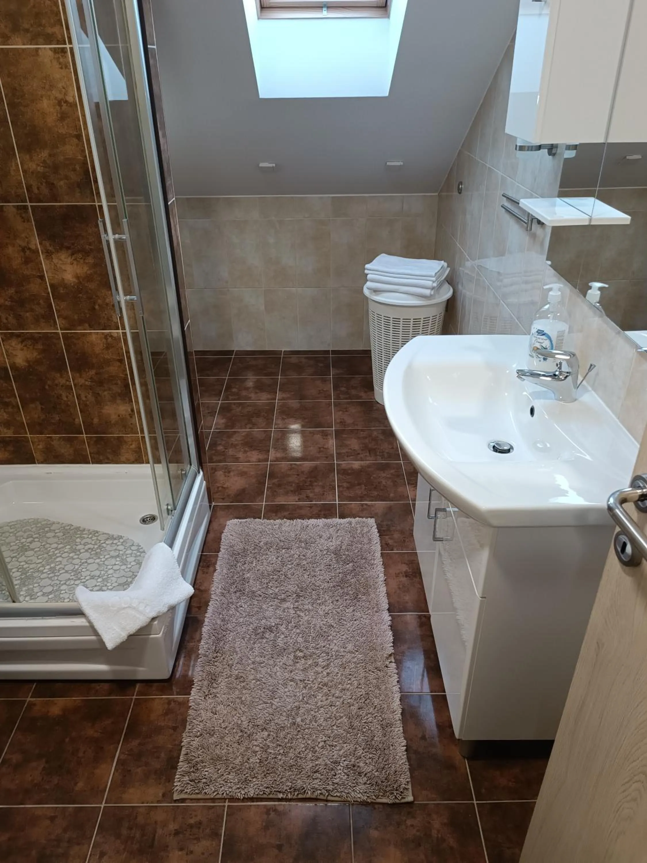 Shower in Apartmani Janjic