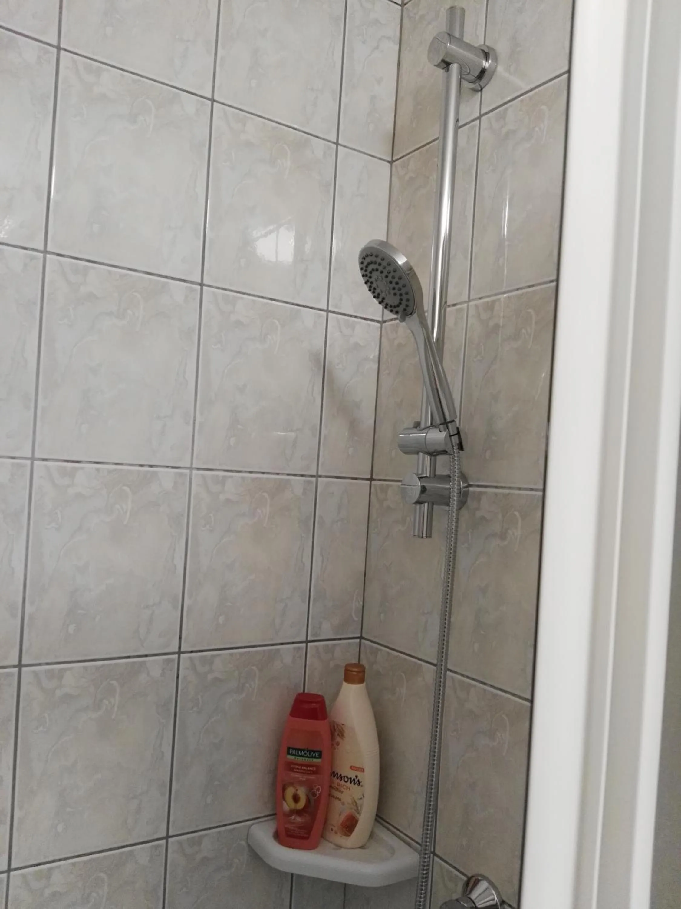 Shower in Apartmani Janjic