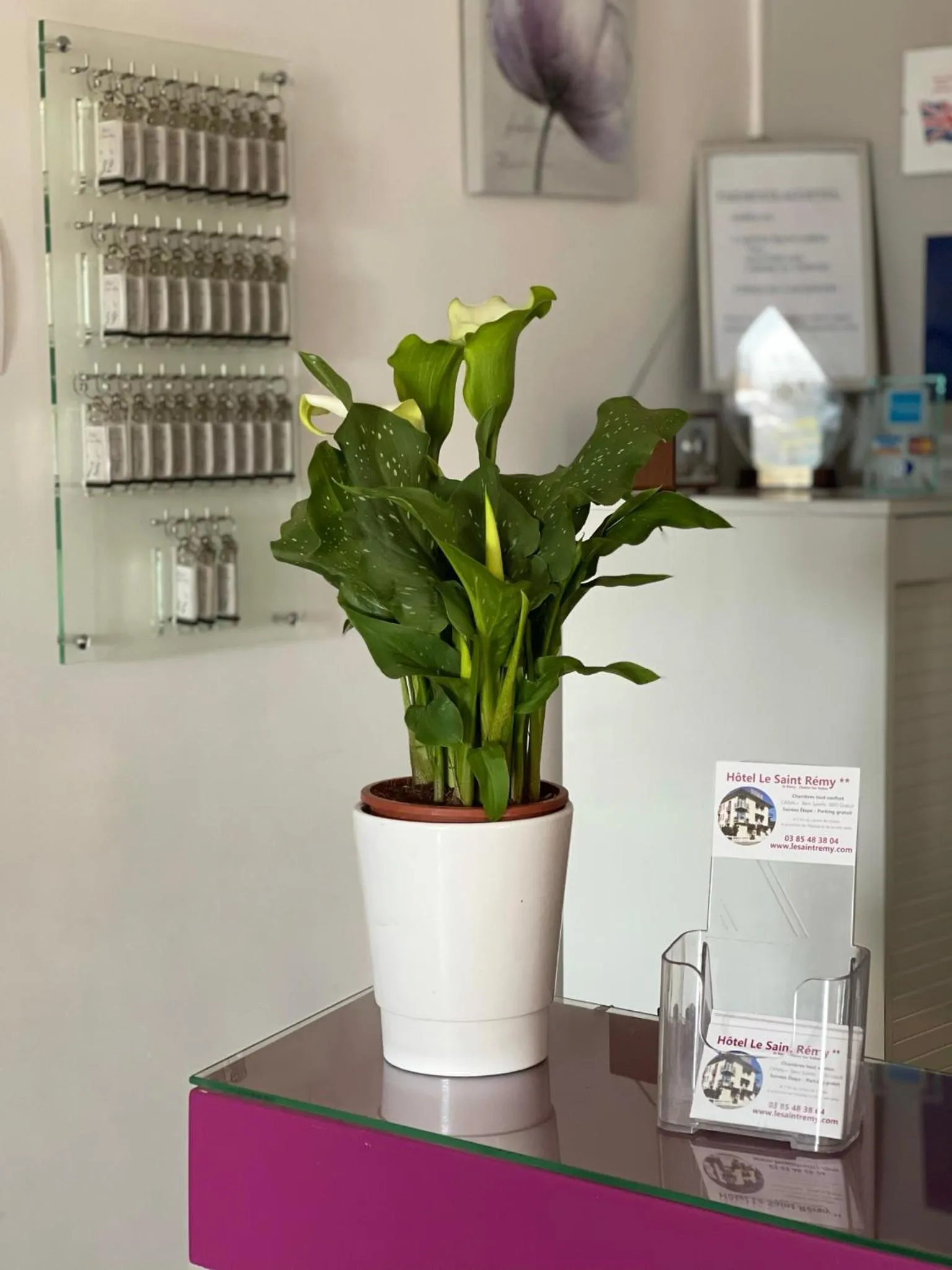 Lobby or reception in "Contact Hôtel" Le Saint Rémy - Chalon Sud