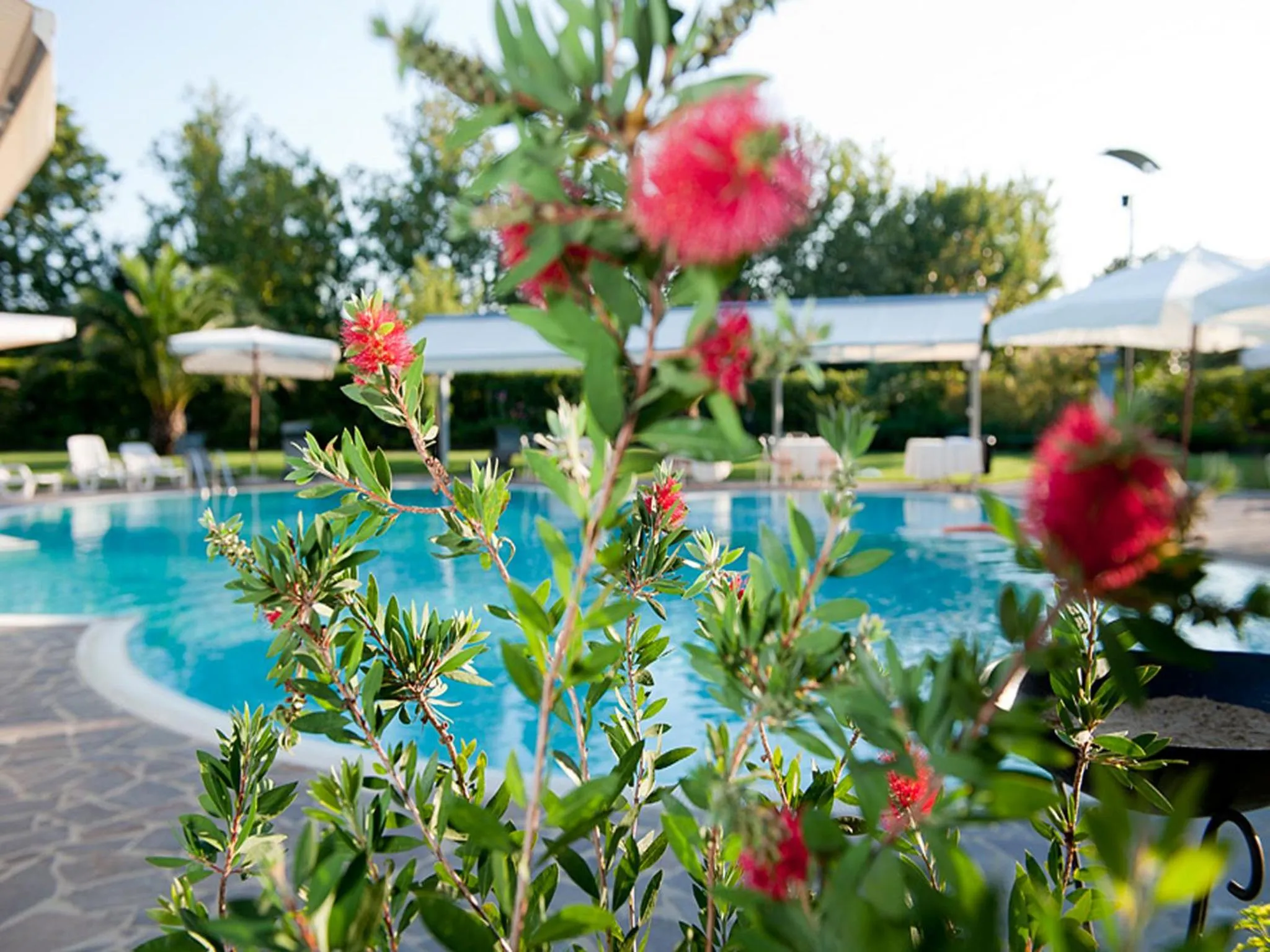 Spring in Hotel Ristorante Dragonara