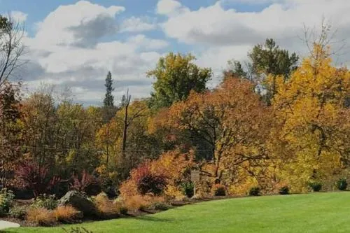 The Lodge at Roseburg