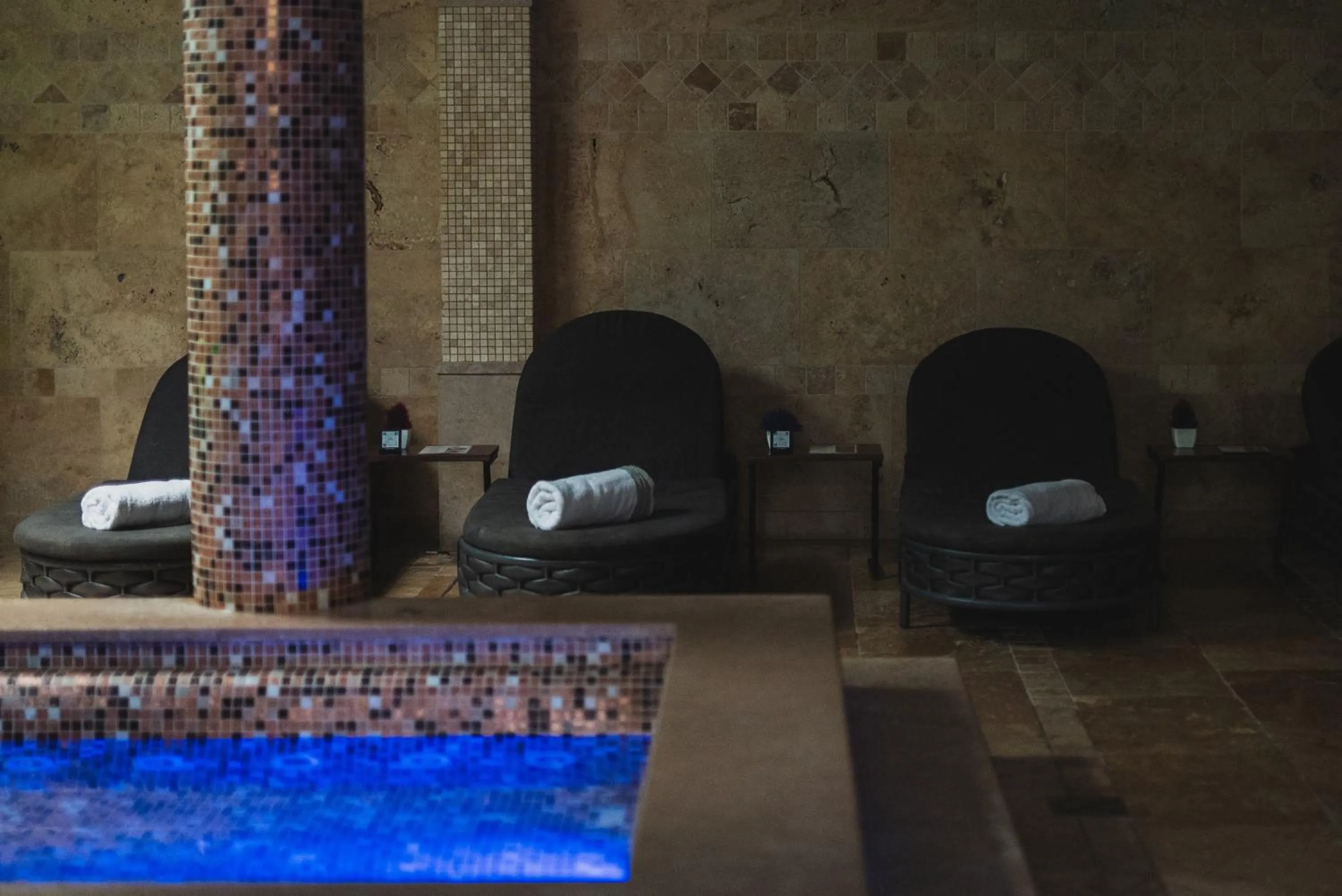 Spa and wellness centre/facilities in Hotel Alexandar Lux