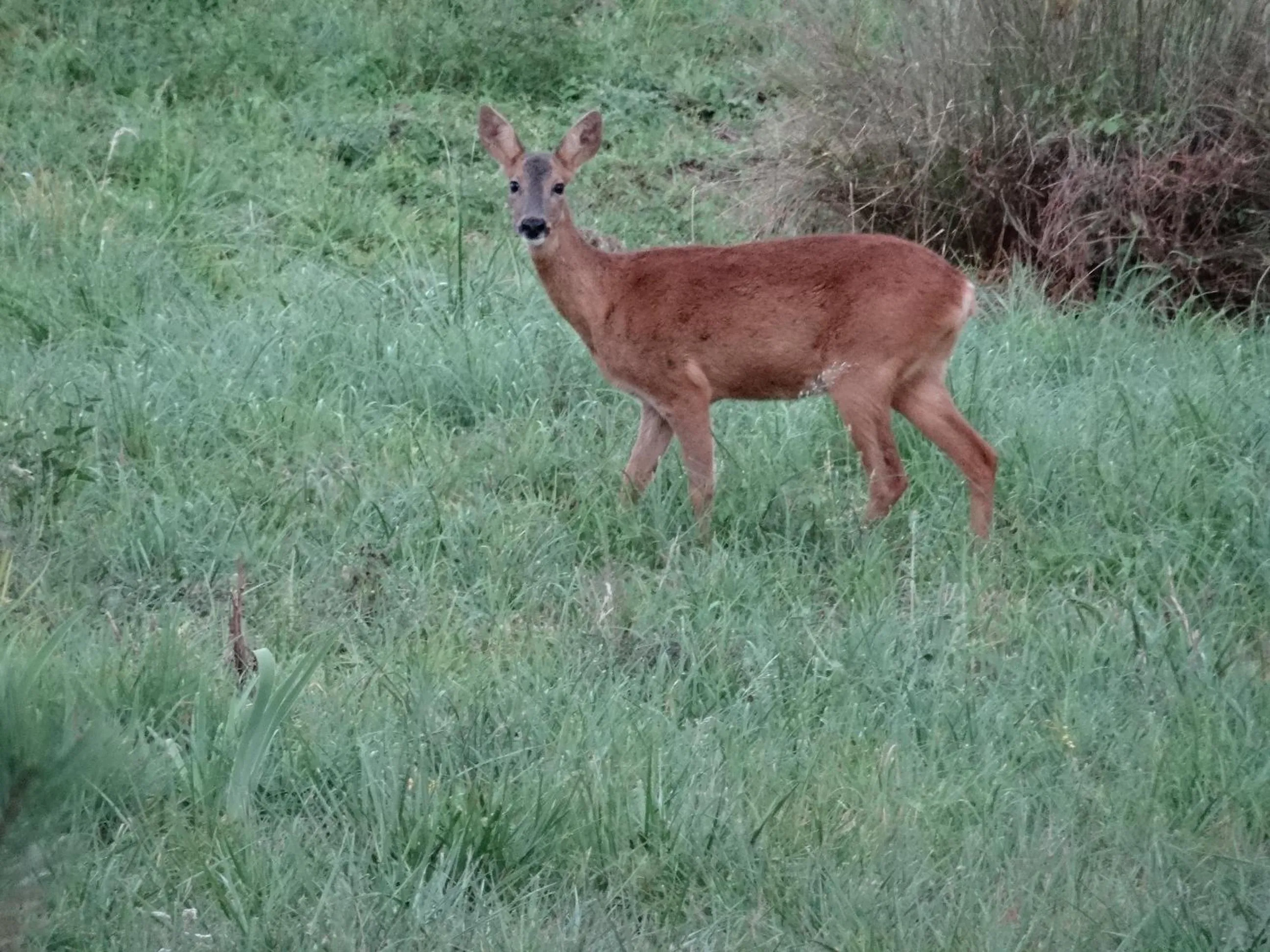 Natural landscape in Chambres d'hôtes Le Muguet