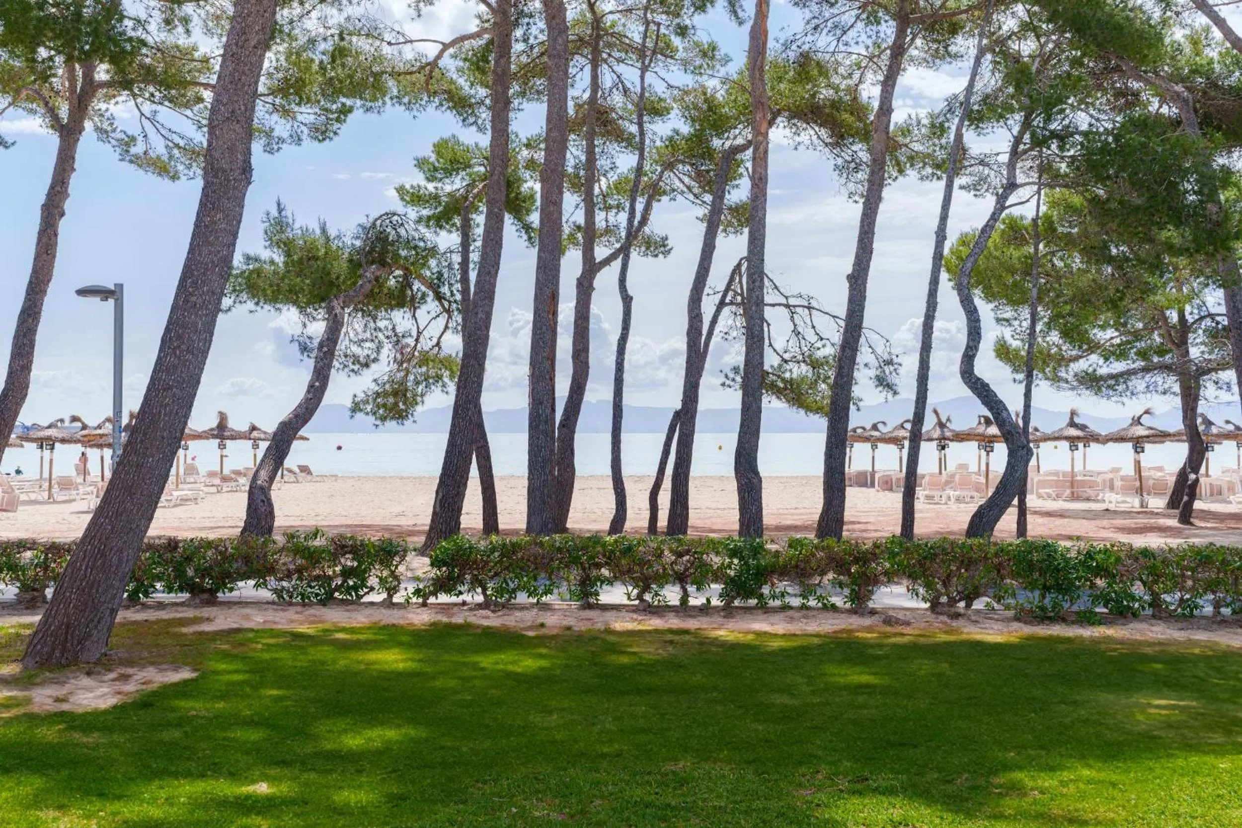 Sea view in Apartamentos Ferrer Lime Playa de Alcudia