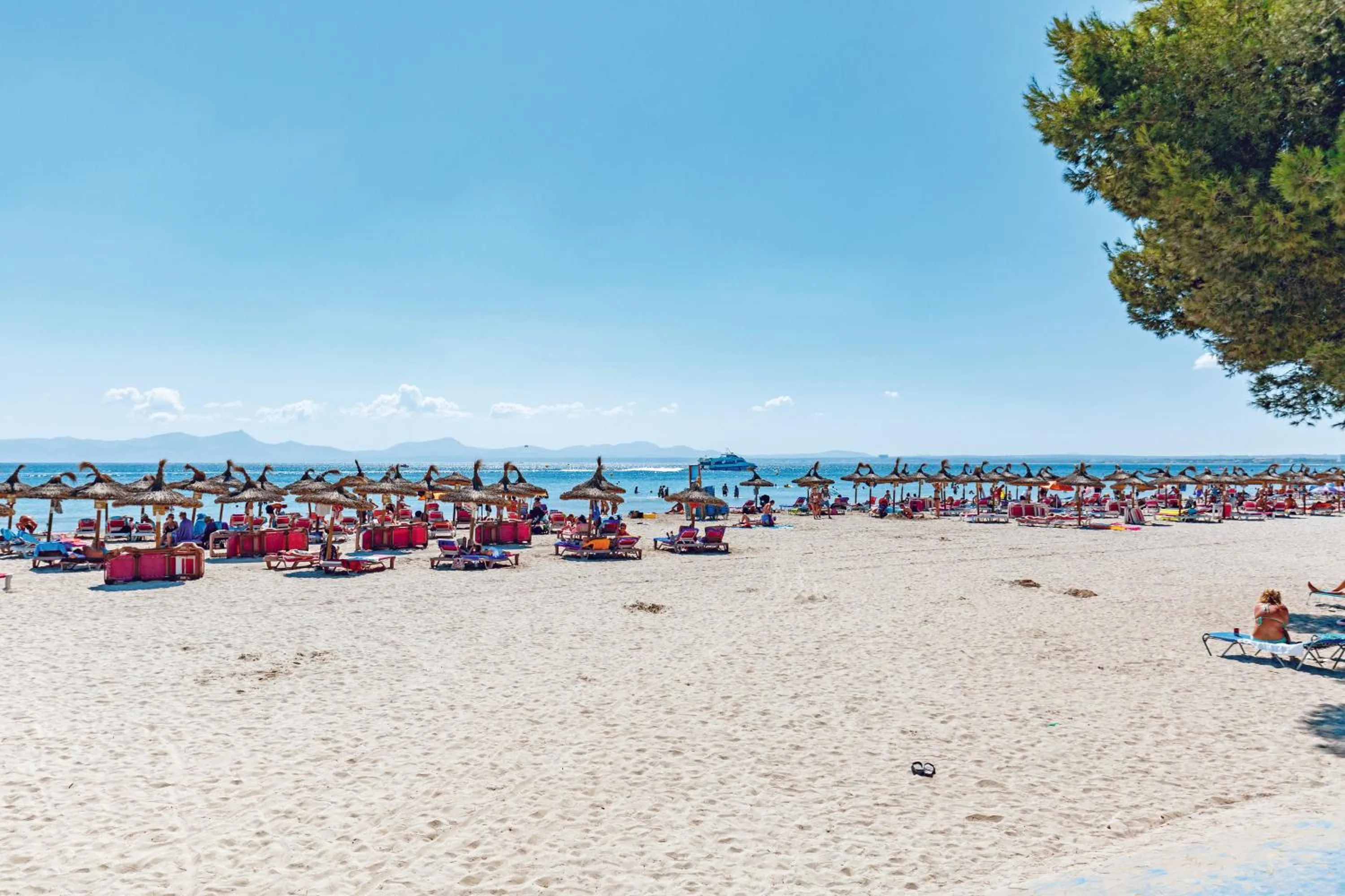 Beach in Apartamentos Ferrer Lime Playa de Alcudia