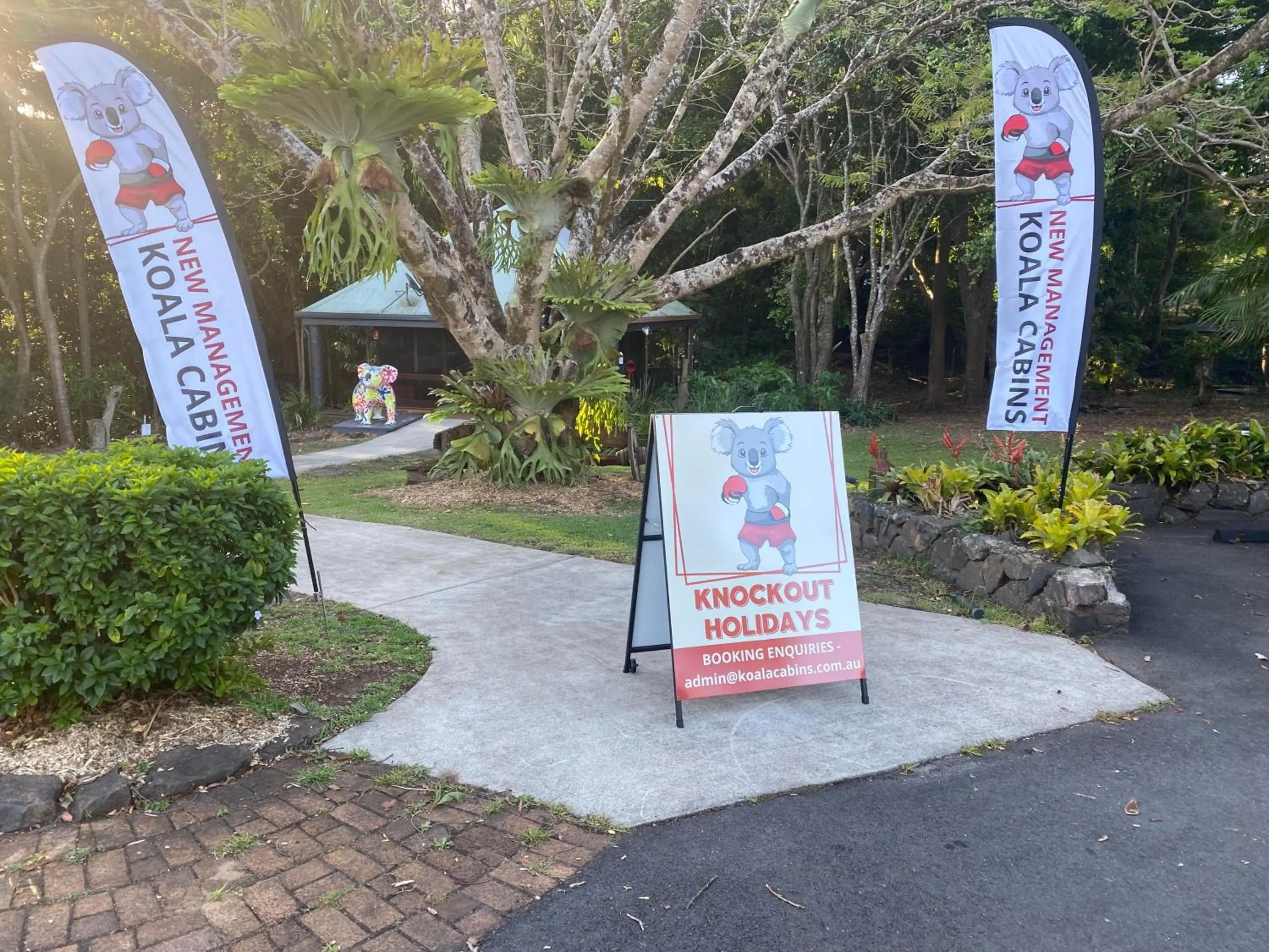 Koala Cabins Sunshine Coast