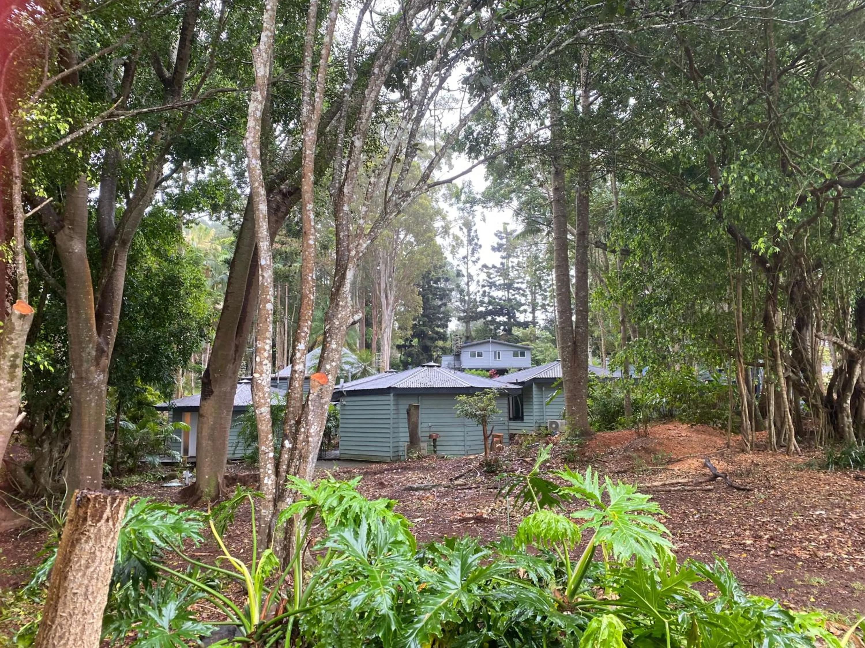 Natural landscape in Koala Cabins Sunshine Coast