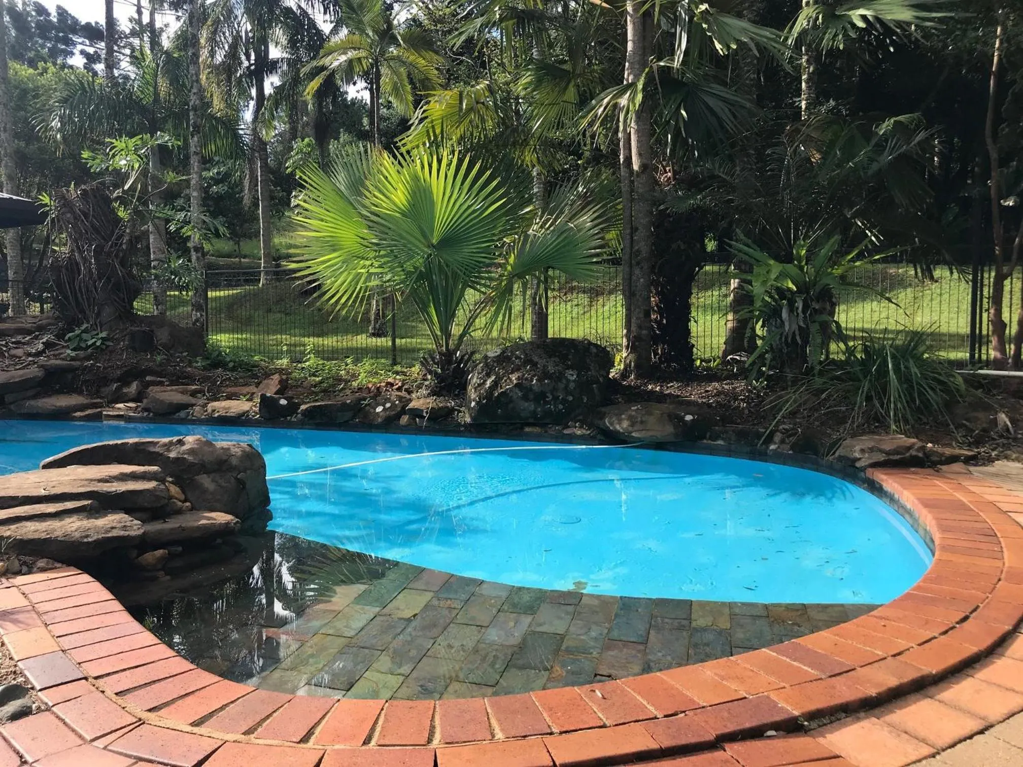 Pool view in Koala Cabins Sunshine Coast