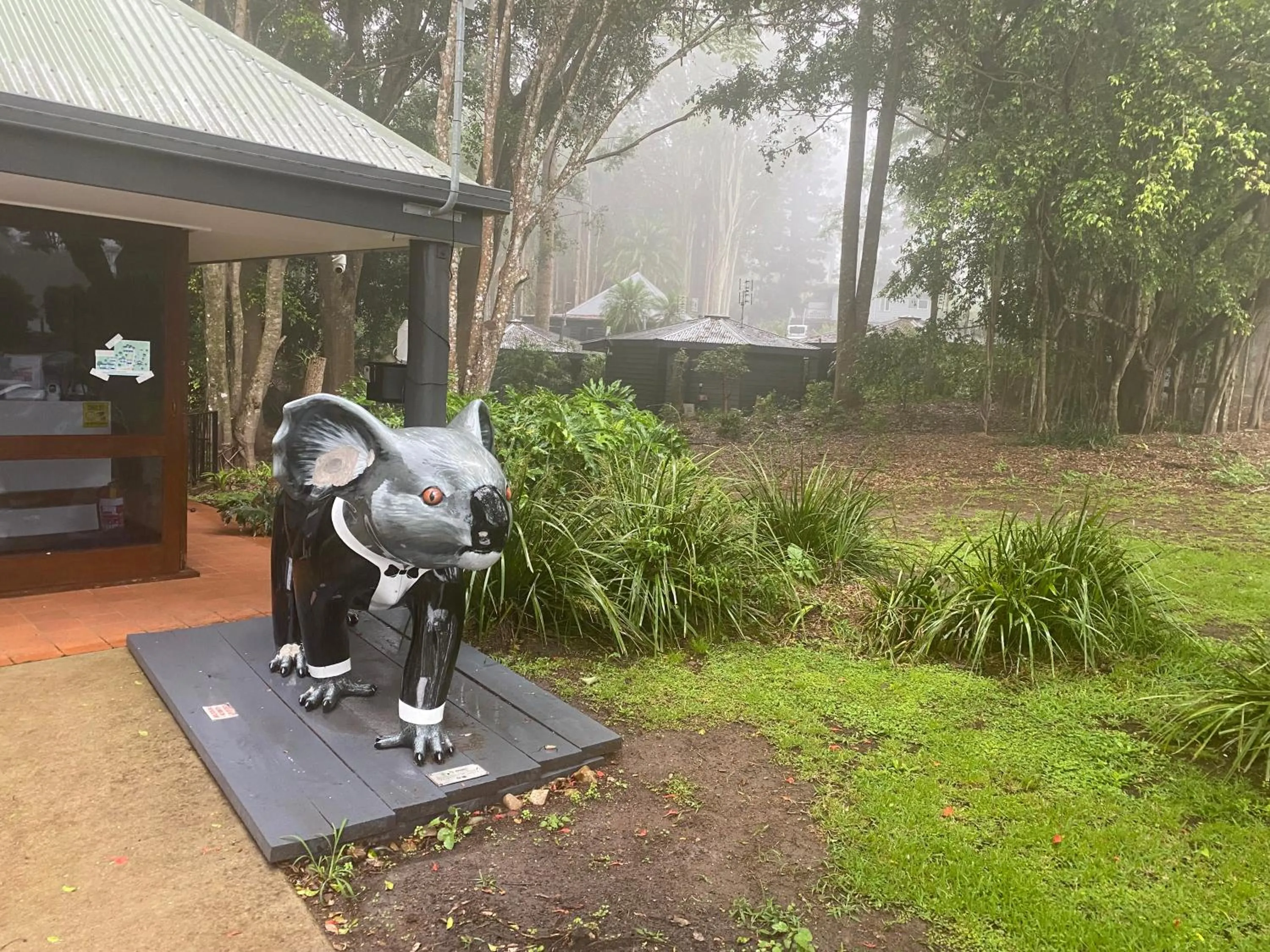 Koala Cabins Sunshine Coast