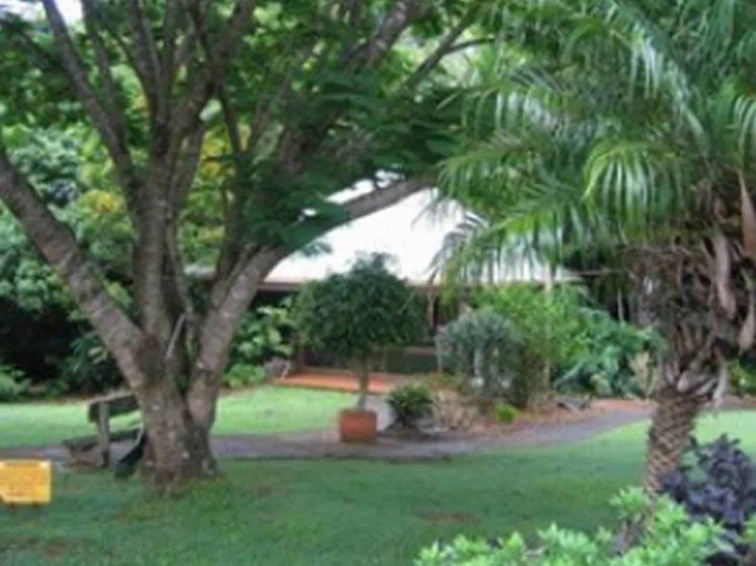 Natural landscape in Koala Cabins Sunshine Coast