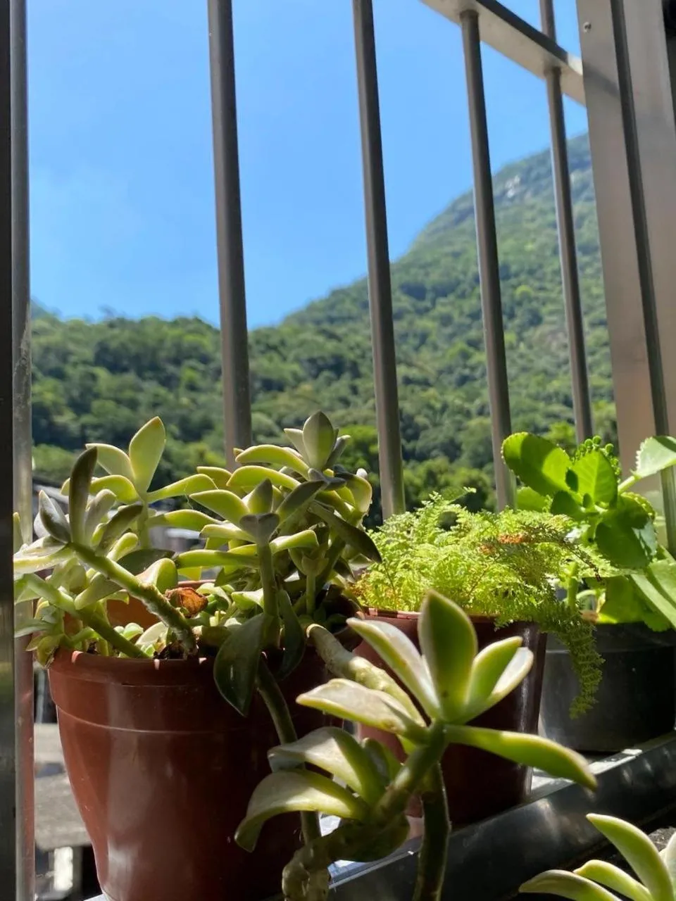 Casa Zona Sul