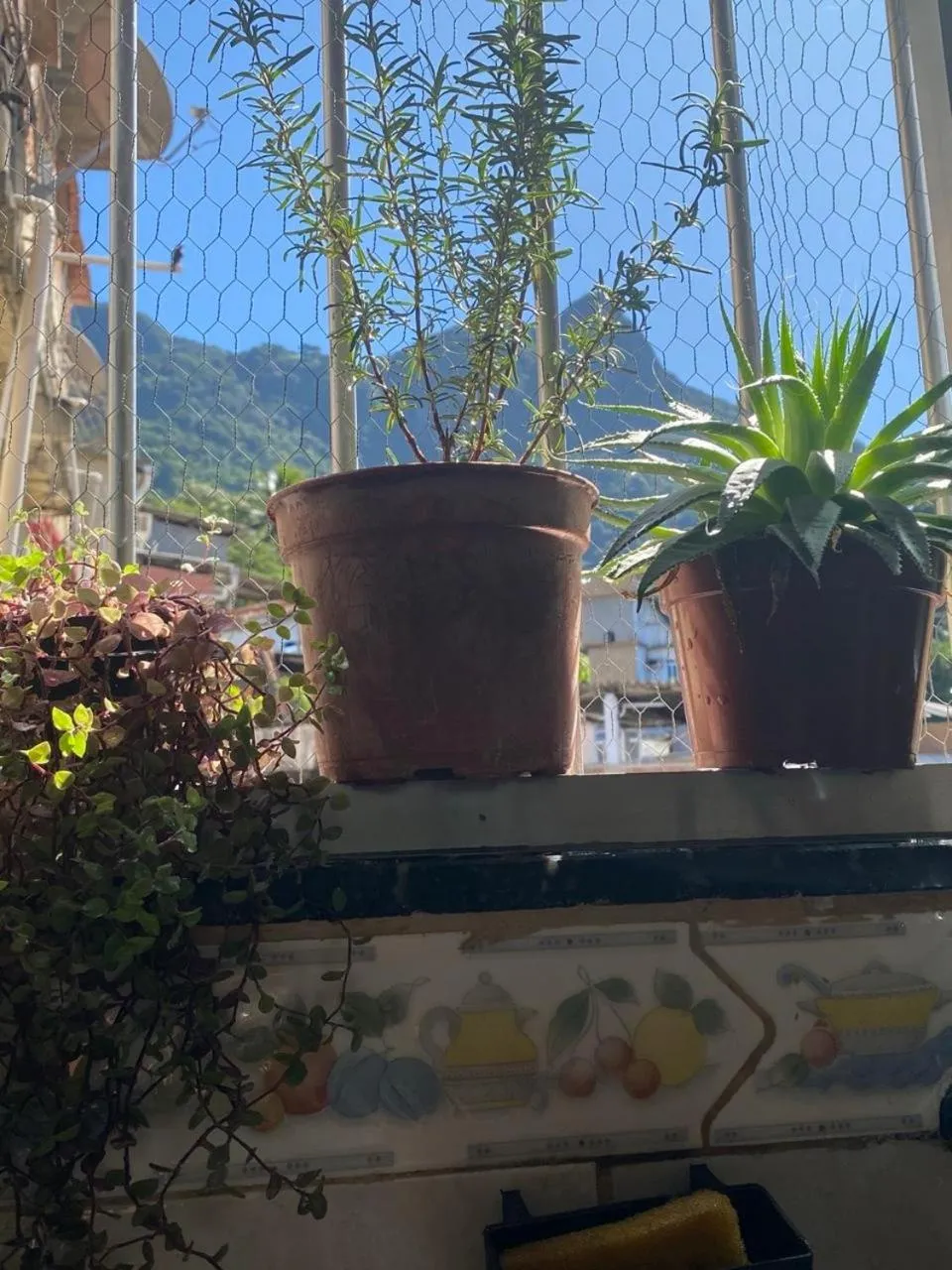 Casa Zona Sul